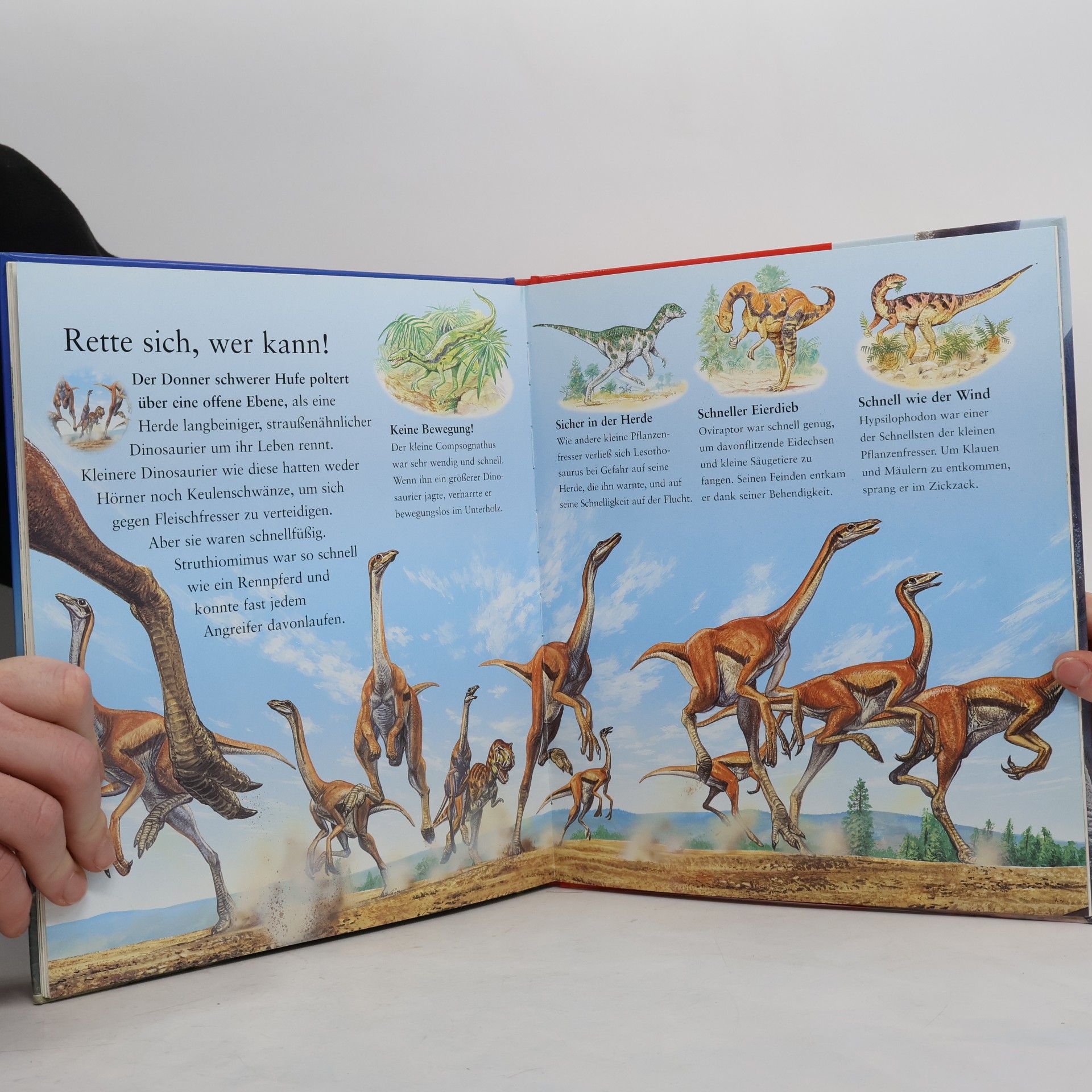 Christopher Maynard Tessloffs erstes Buch der Dinosaurier