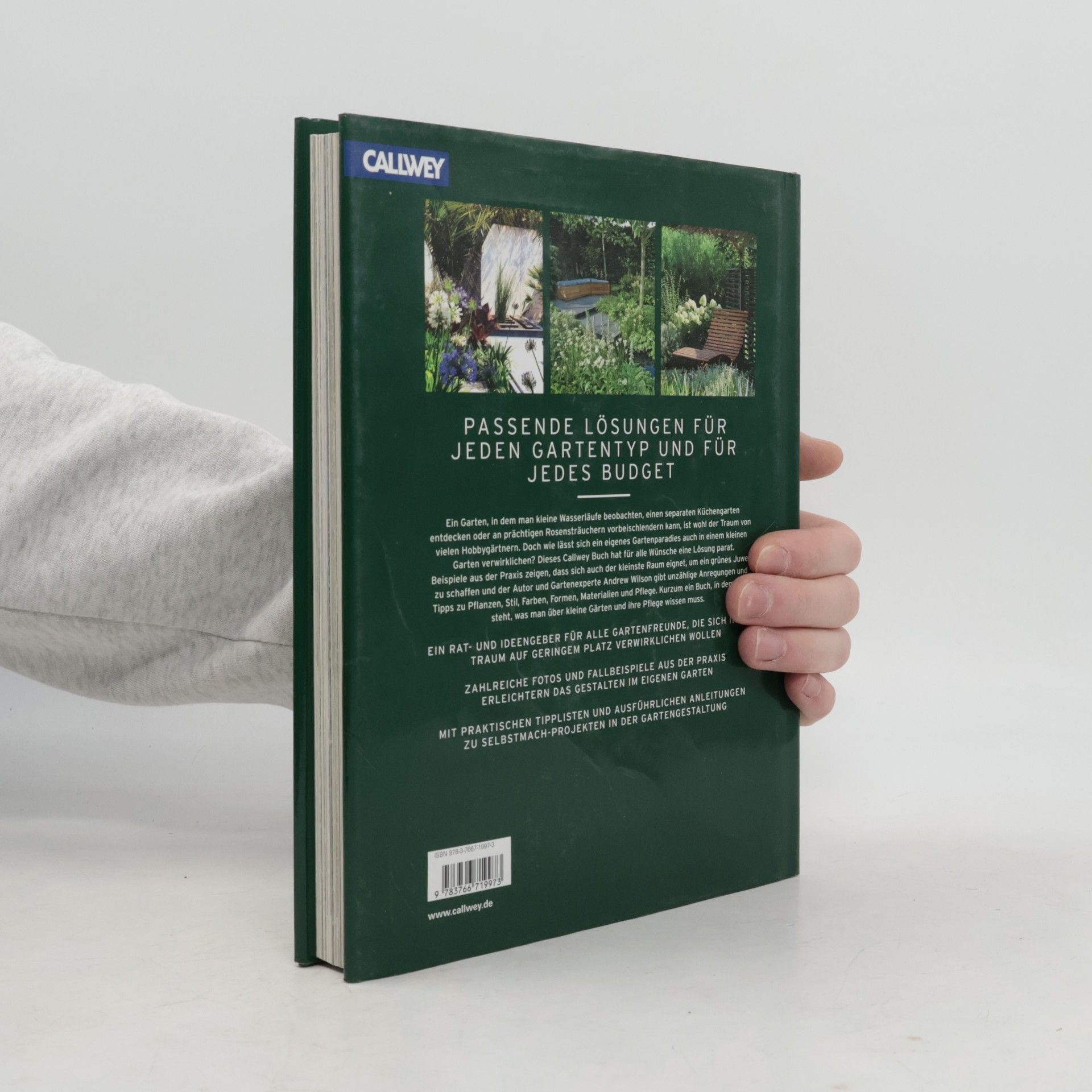 Andrew Wilson Handbuch Kleine Gärten