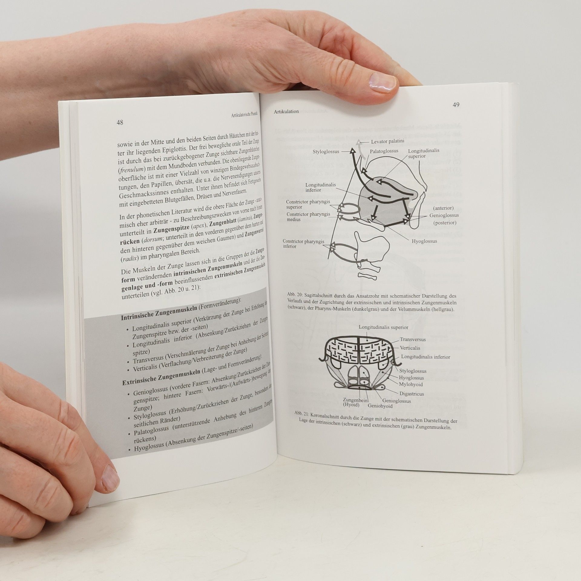 Bernd Pompino-Marschall De Gruyter Studienbuch: Einführung in die Phonetik - 2. Auflage
