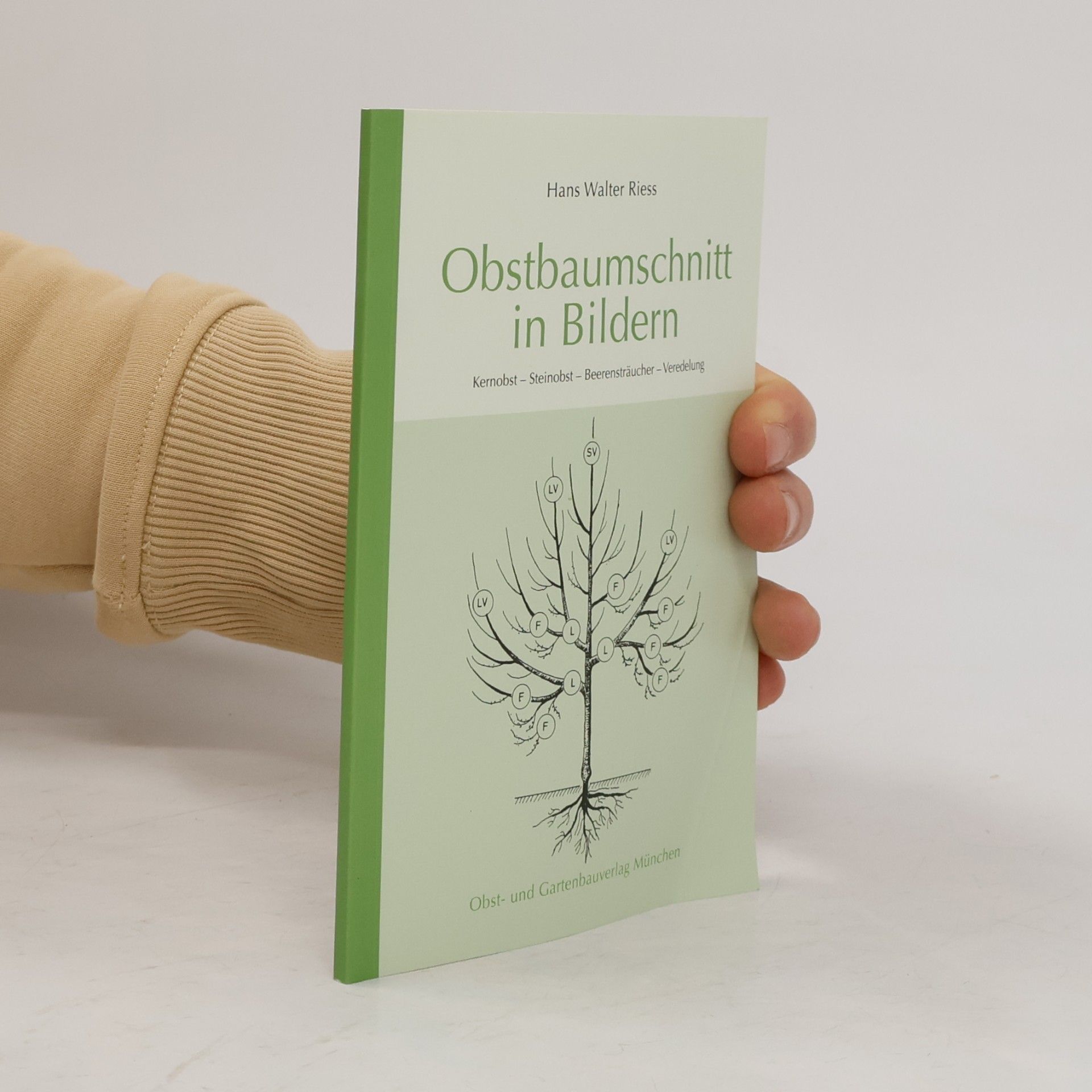 Obstbaumschnitt in Bildern