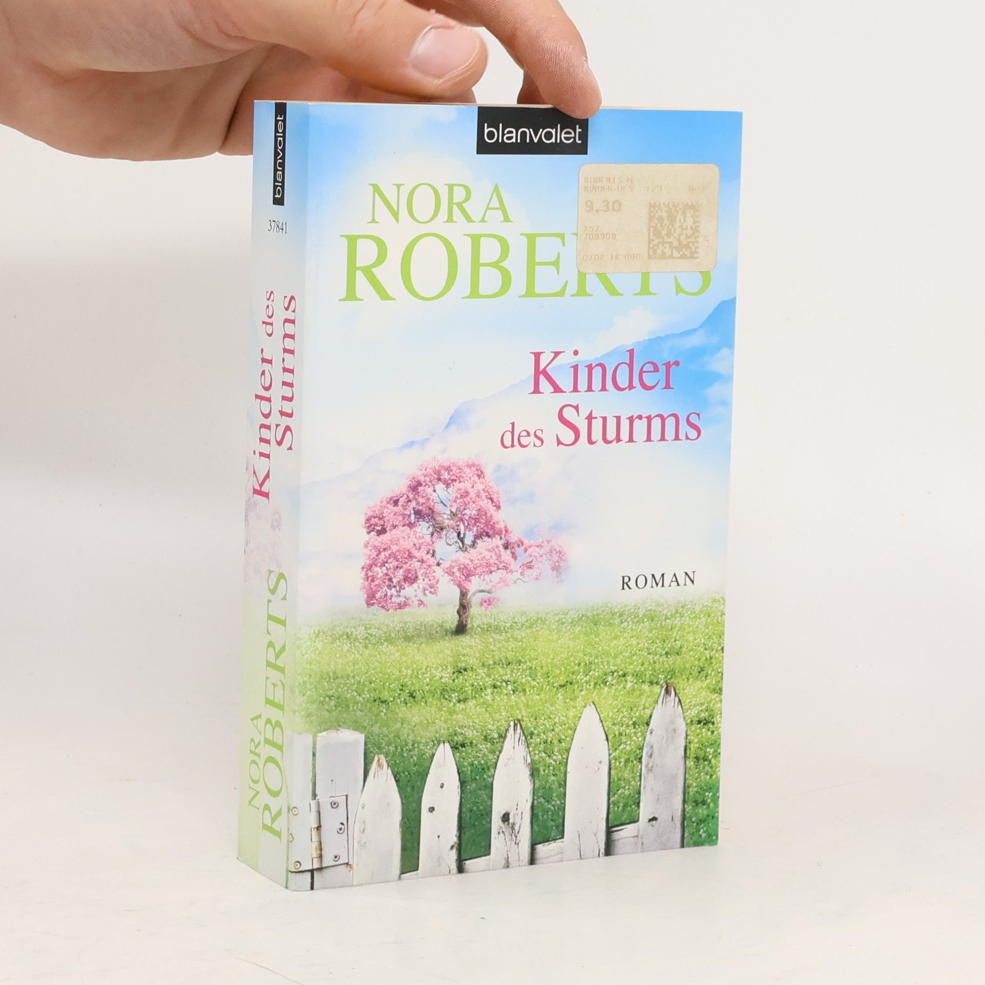 Nora Roberts Kinder des Sturms