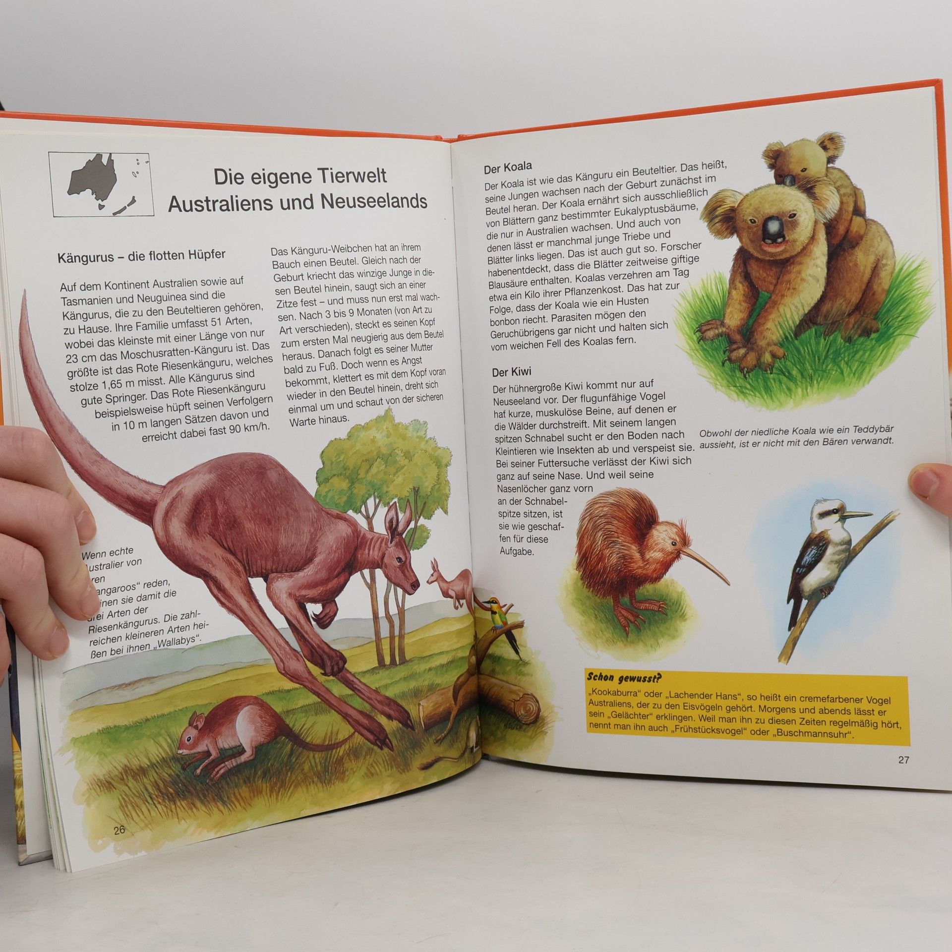 Maren von Klitzing Der große Tieratlas für Kinder
