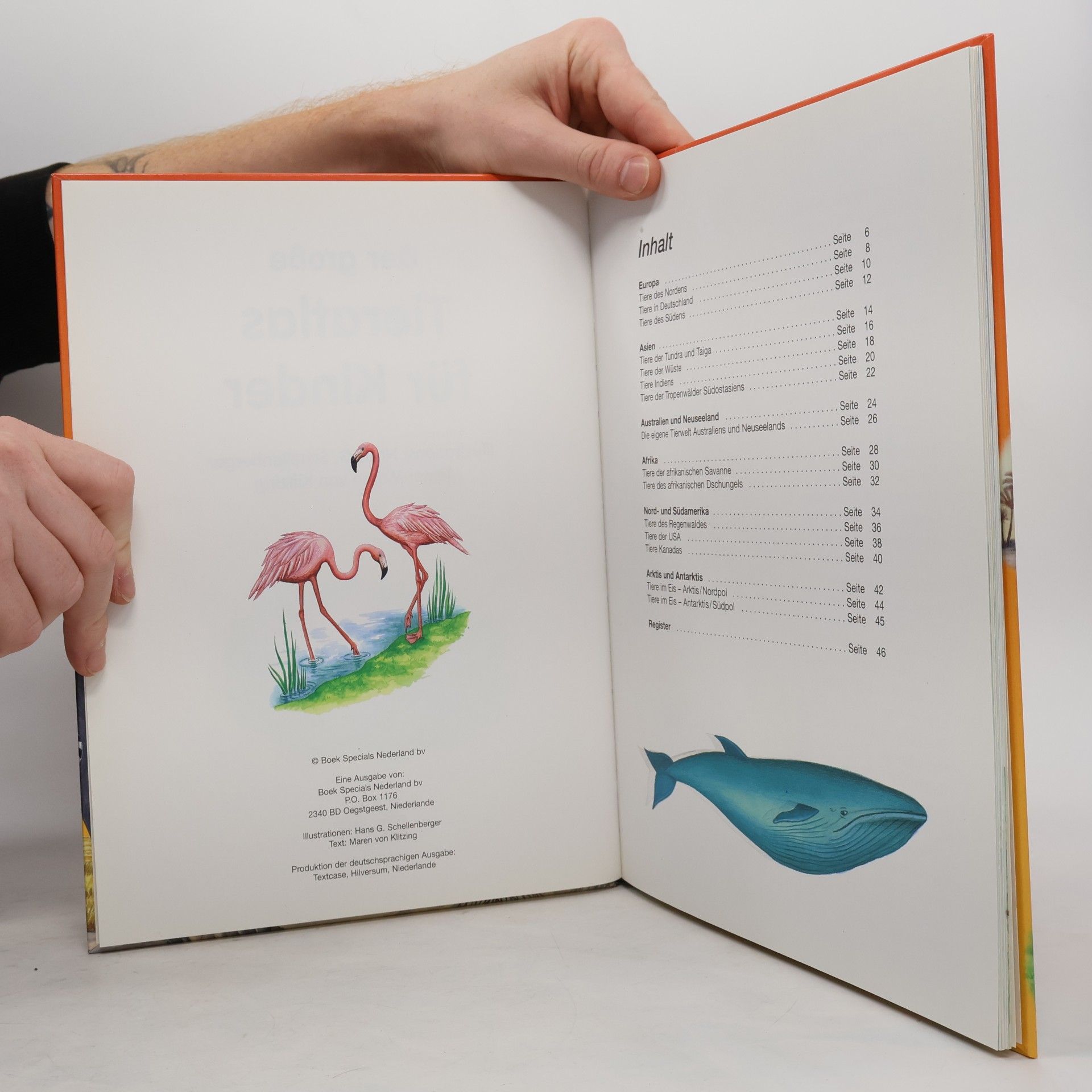 Maren von Klitzing Der große Tieratlas für Kinder