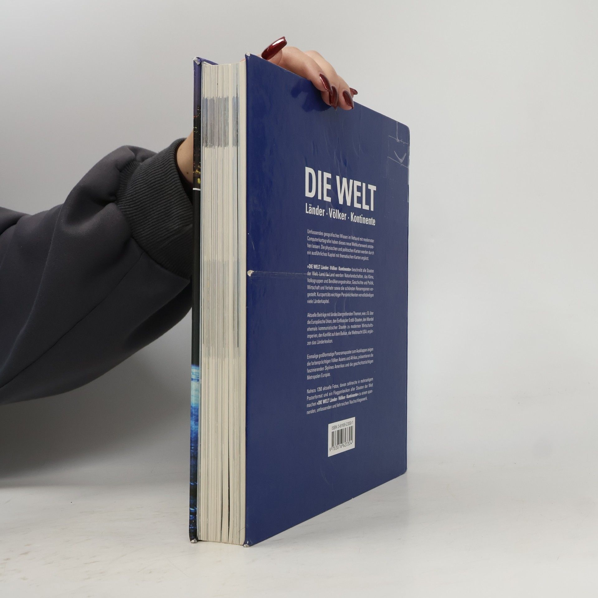 Heike Barnitzke Die Welt