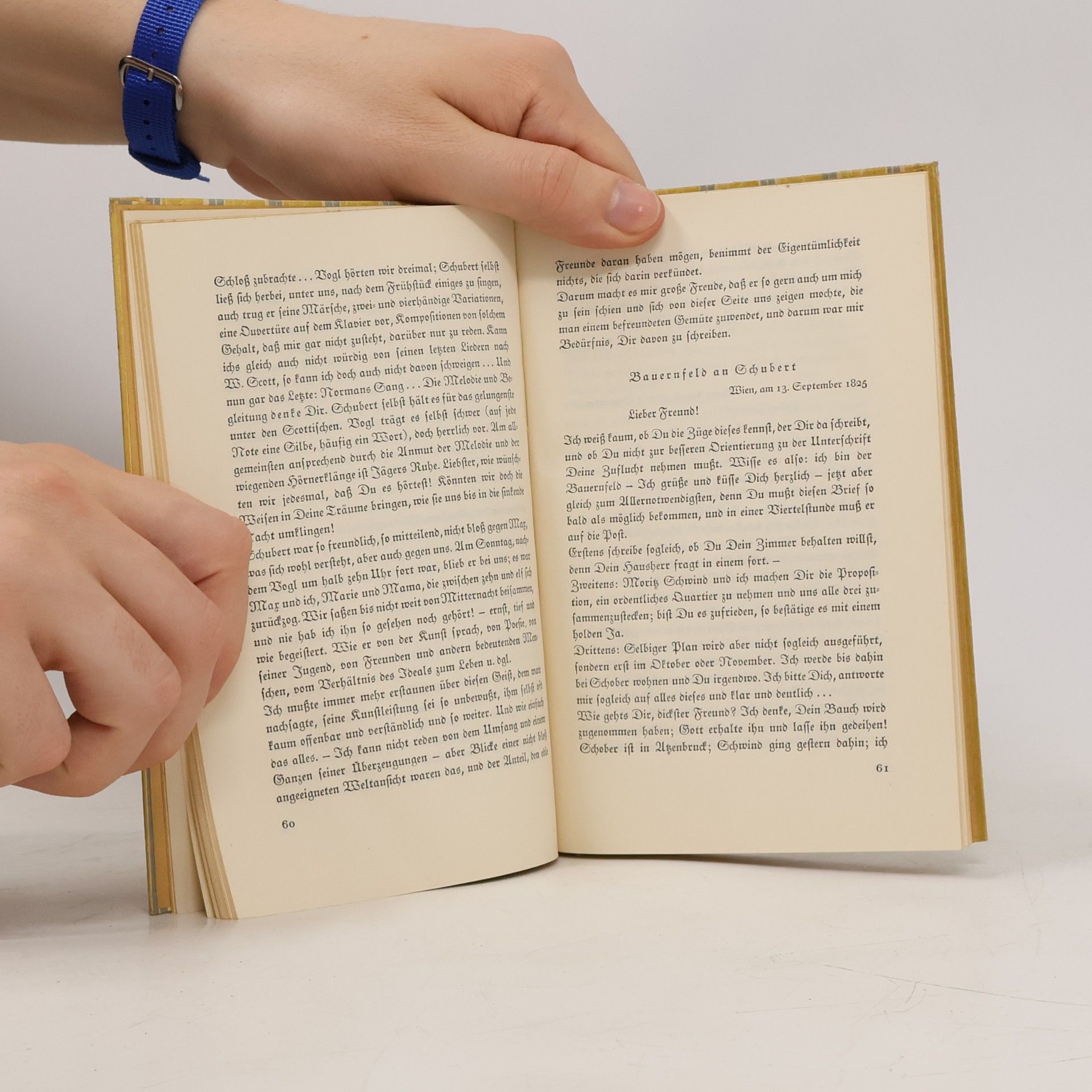 Autorenkollektiv Schubert im Freundeskreis