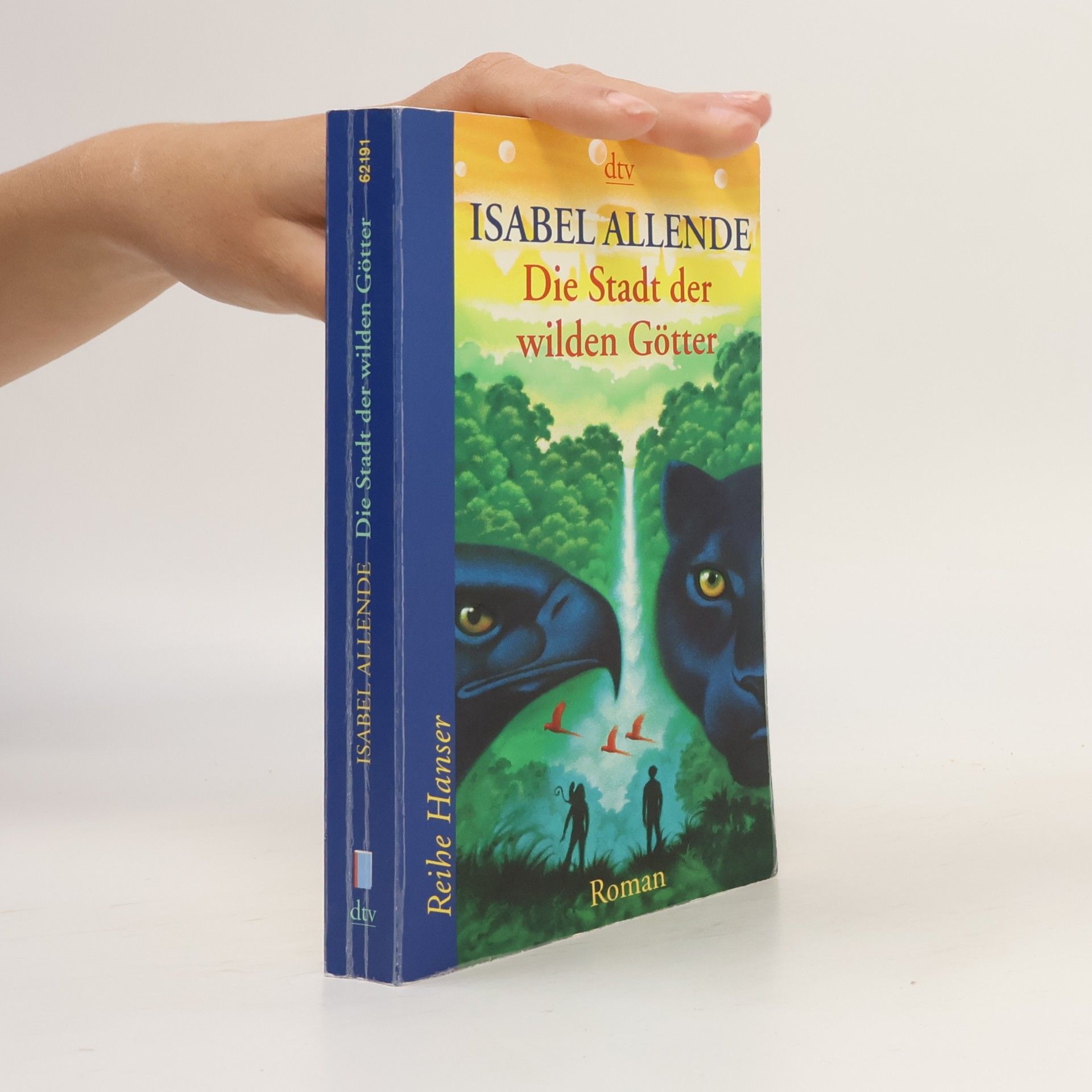 Isabel Allende Die Stadt der wilden Götter