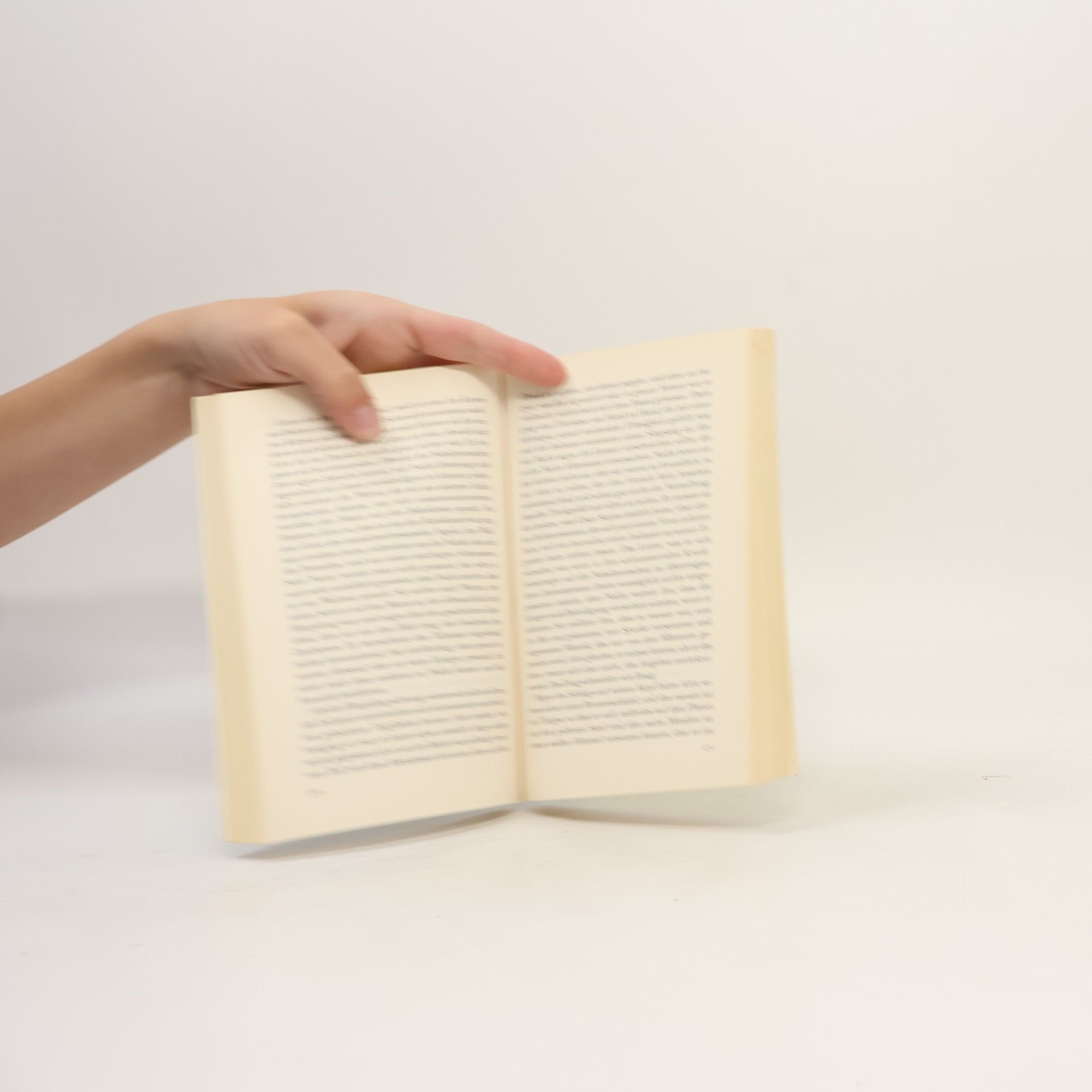 Isabel Allende Die Stadt der wilden Götter