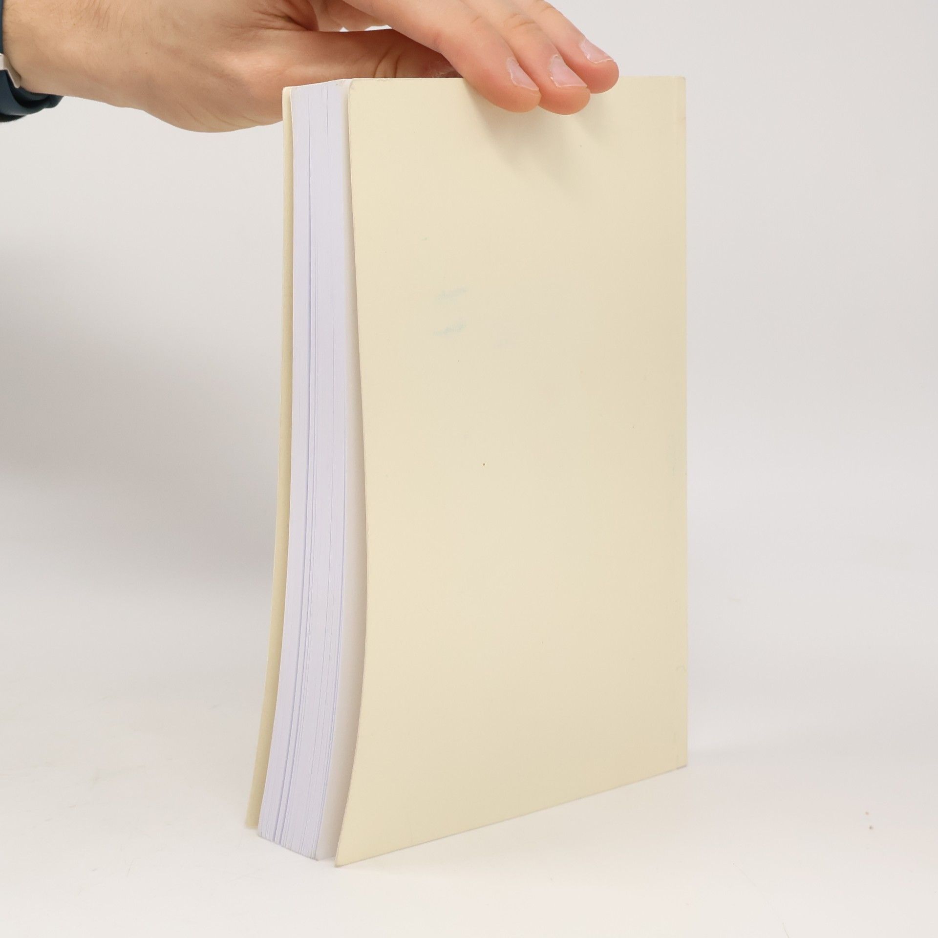 Klaus Schindler Mathematik Anwendungen