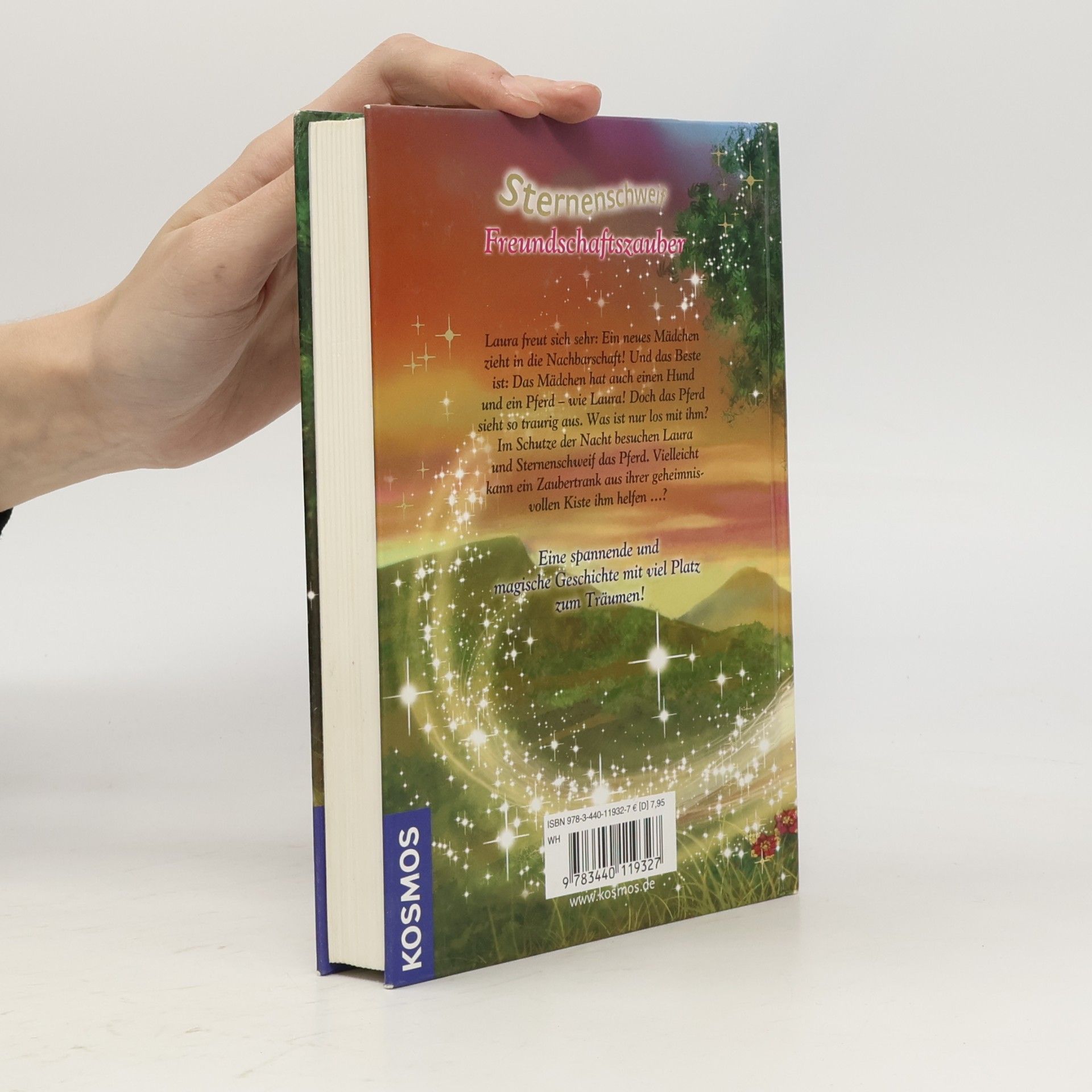 Linda Champan Sternenschweif. Freundschaftszauber 25
