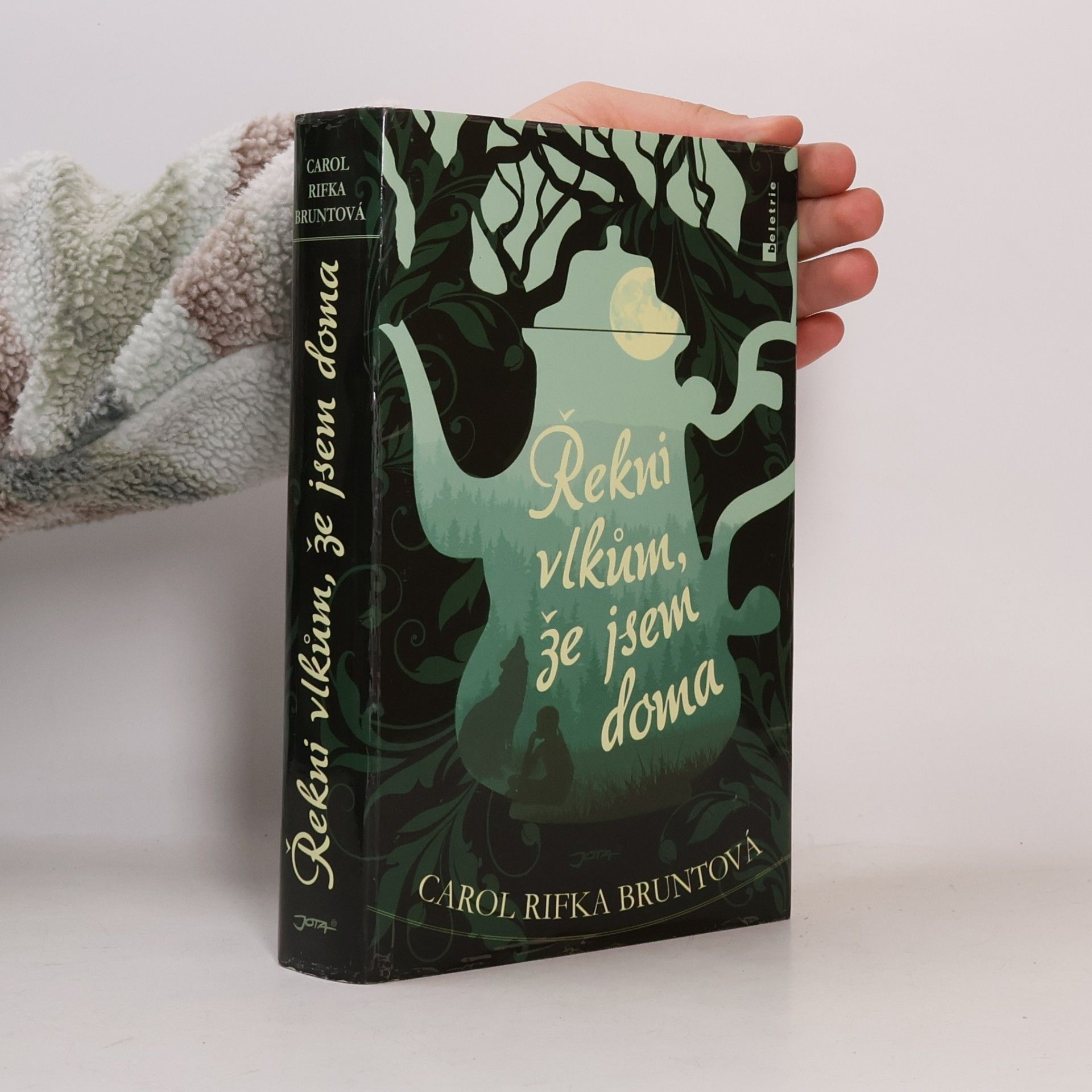 Carol Rifka Brunt Řekni vlkům, že jsem doma