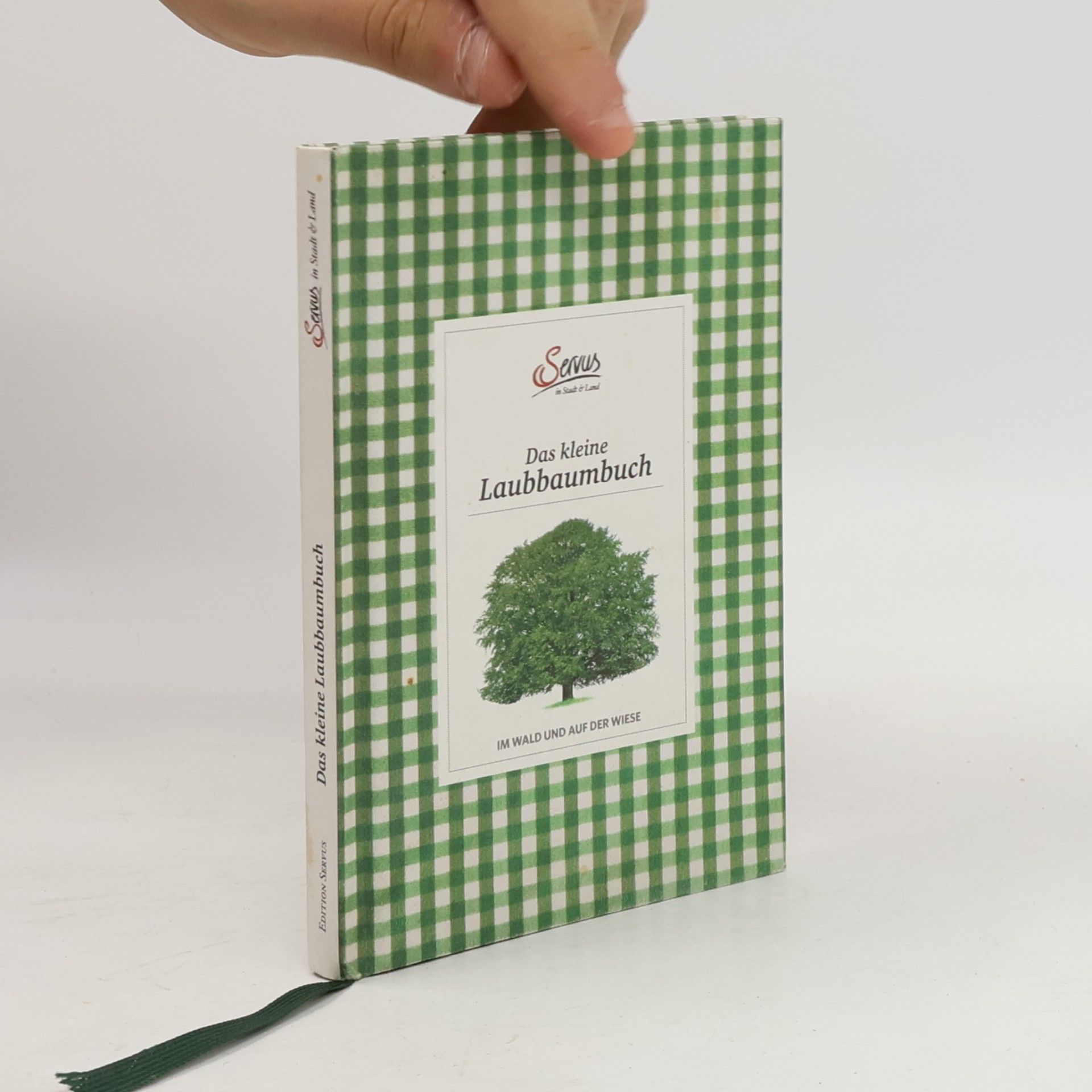 Julia Kospach Das kleine Laubbaumbuch