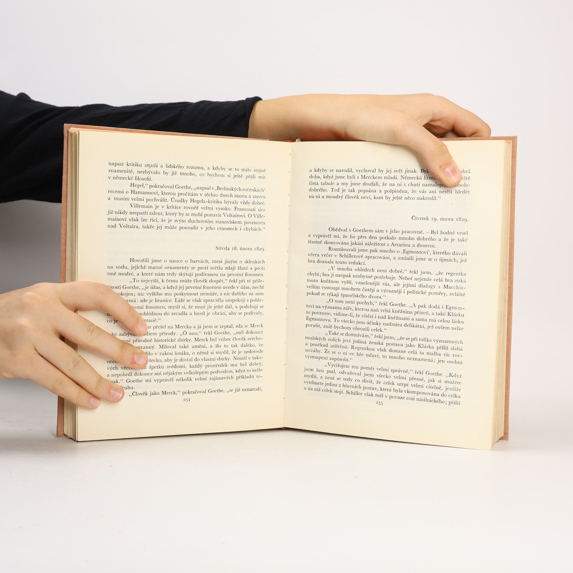 Johann Peter Eckermann Rozhovory s Goethem