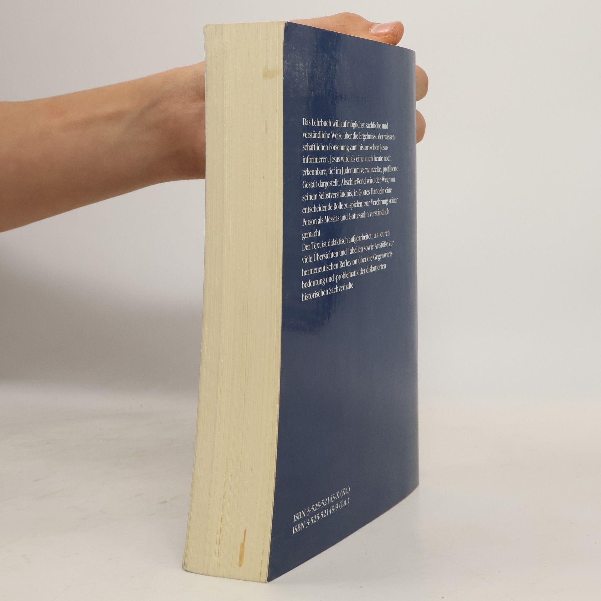 Annette Merz Der historische Jesus. Ein Lehrbuch.