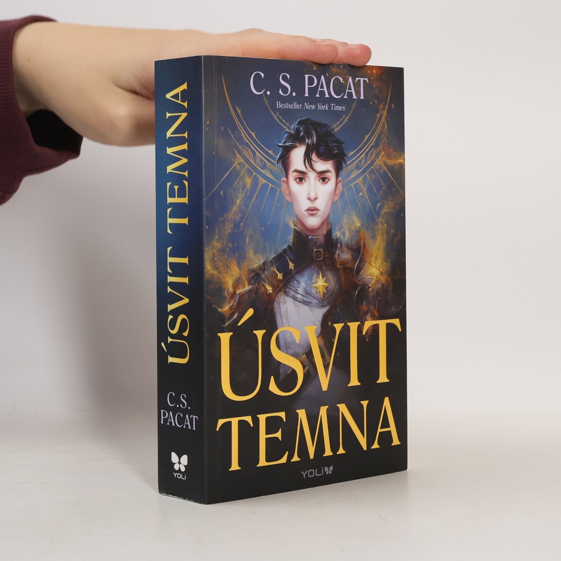 C. S. Pacat Úsvit temna