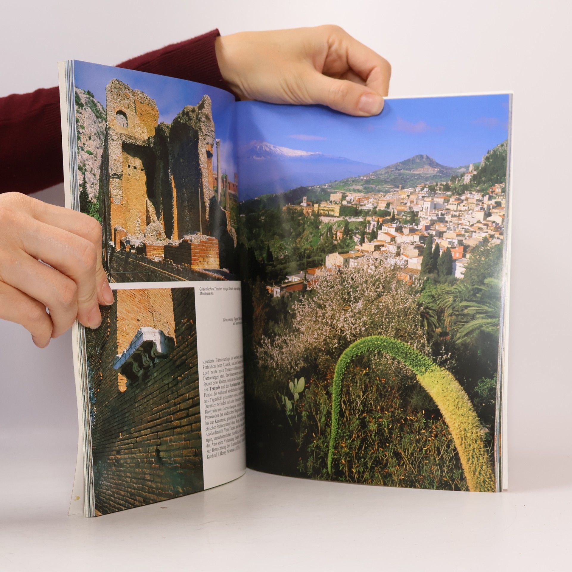 Giuliano Valdes Das goldene Buch von Taormina