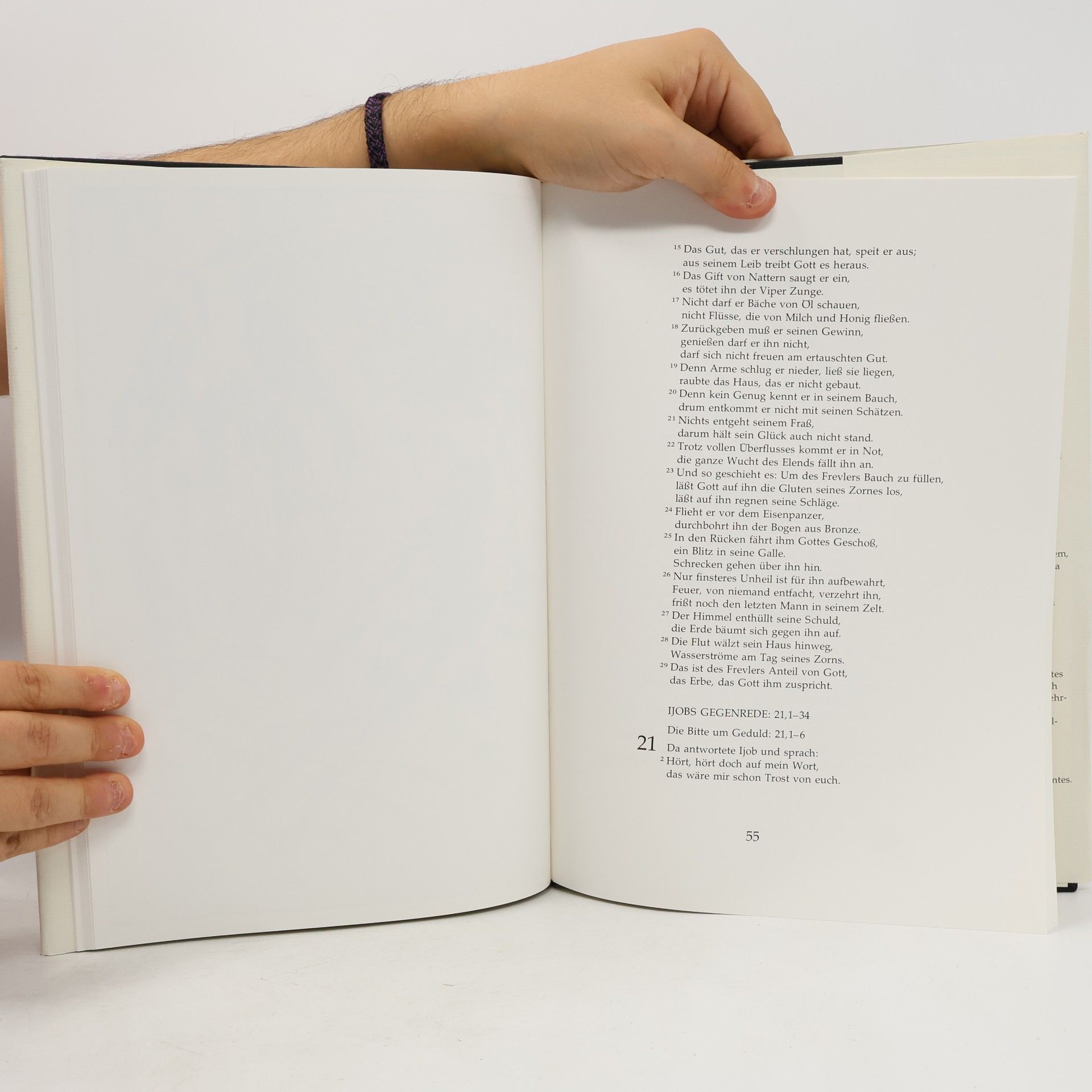 Einheitsübersetzung der Heiligen Schrift