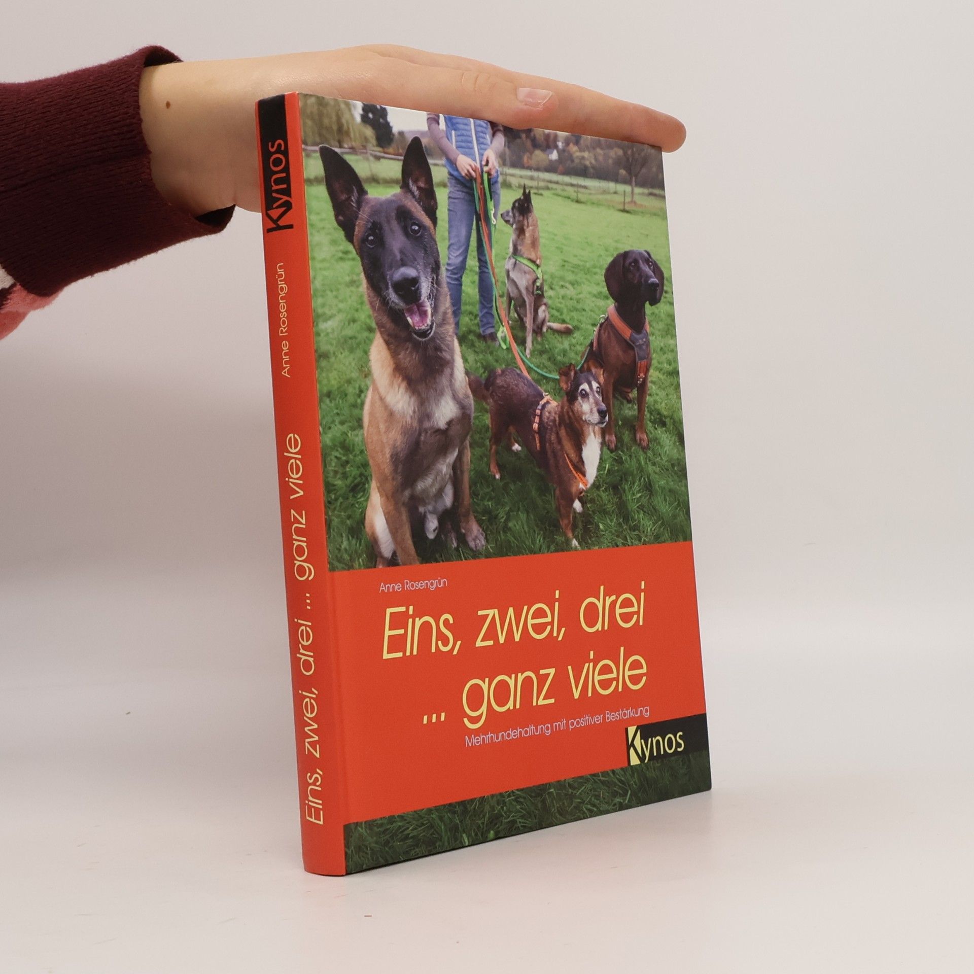 Anne Rosengrün Eins, zwei, drei ... ganz viele