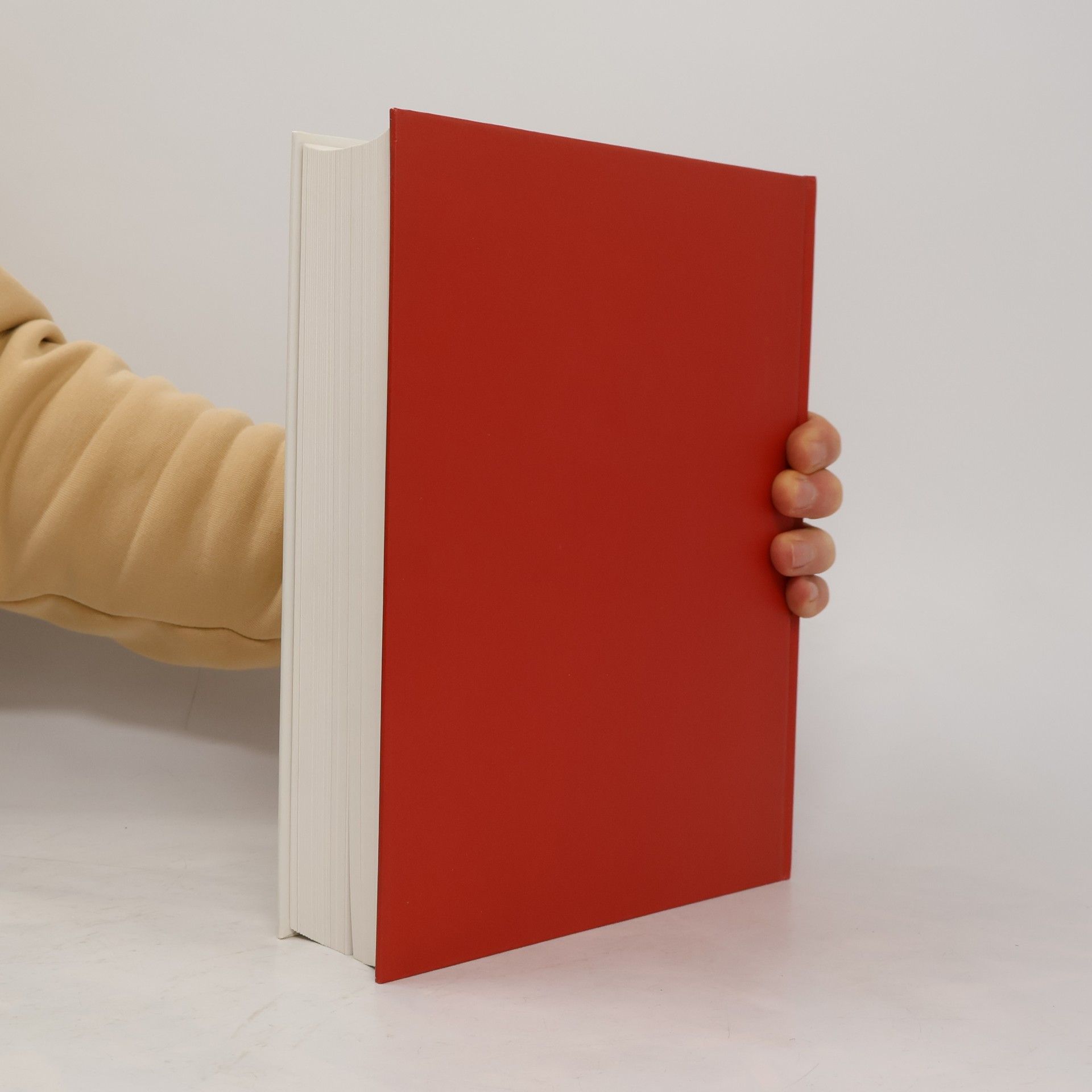 Ernst Bruckmüller Österreichische Länderausstellung 996-1996 Ostarrîchi Österreich