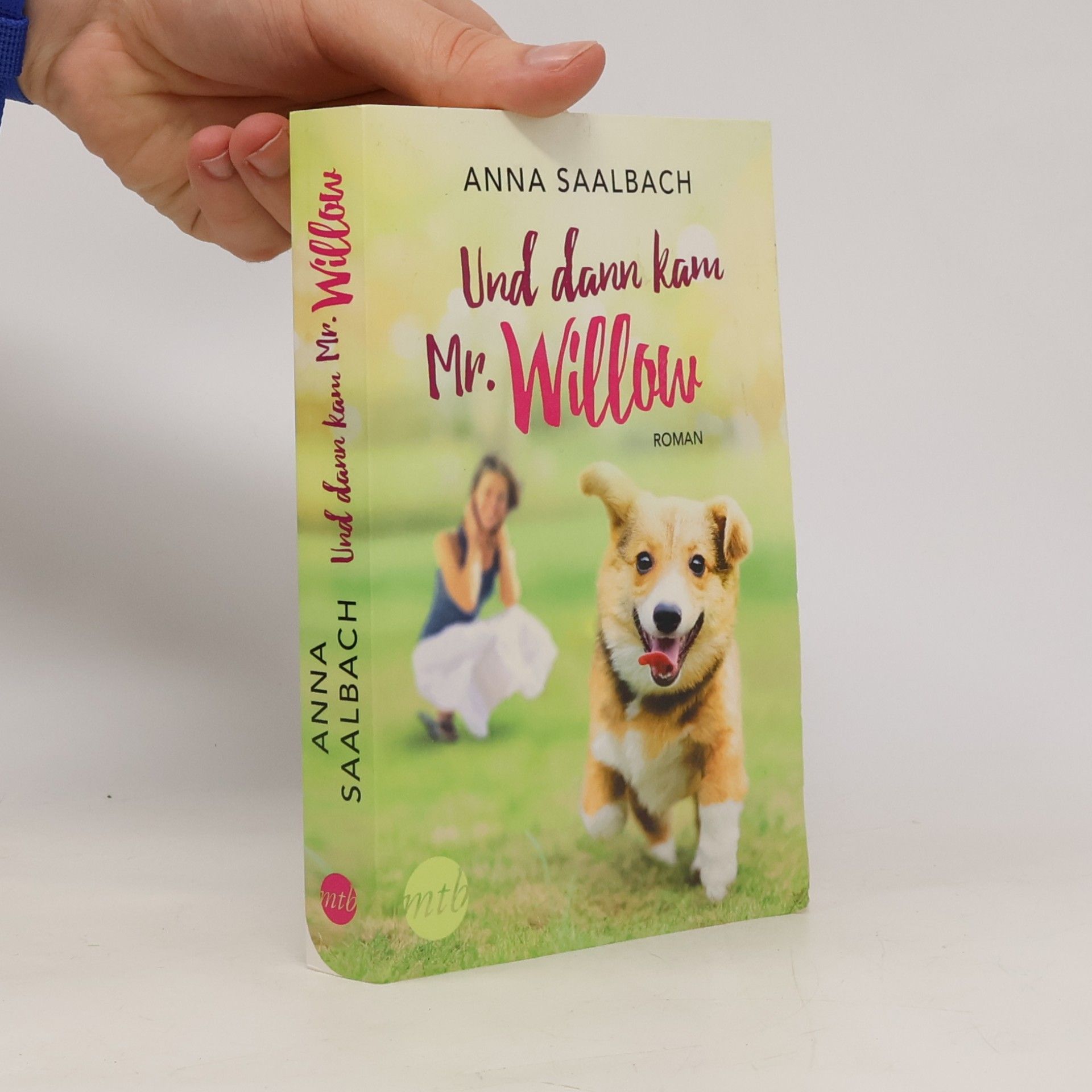 Anna Saalbach Und dann kam Mr. Willow