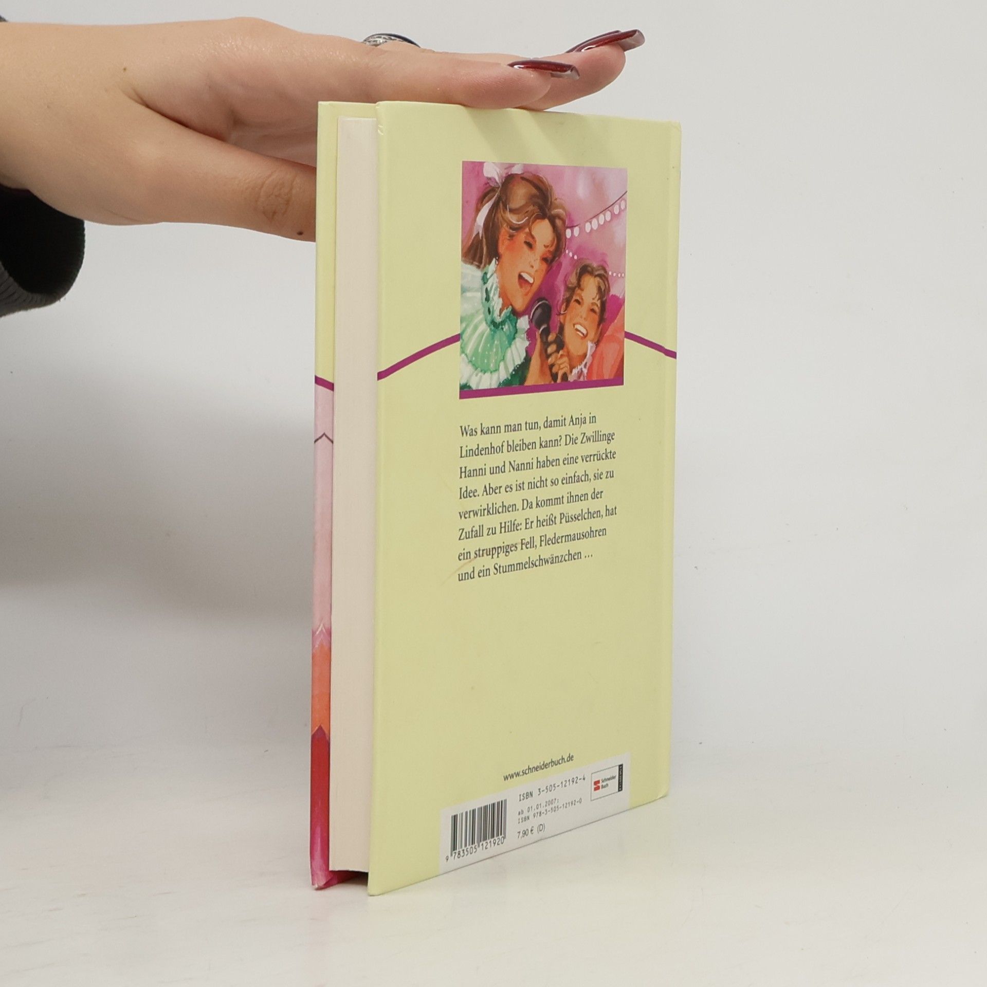 Enid Blyton Hanni & Nanni bringen alle in Schwung
