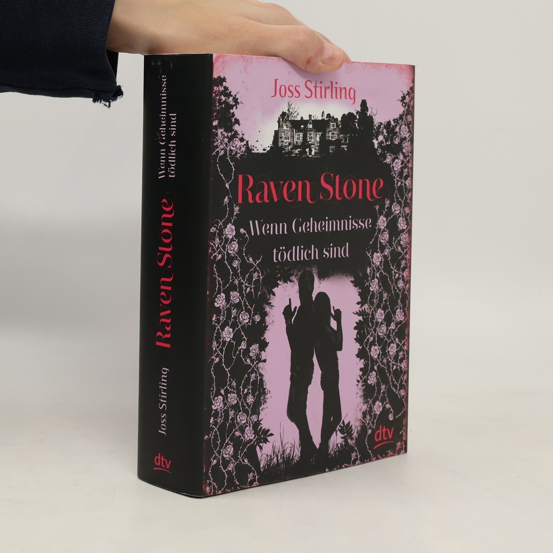 Julia Golding Raven Stone - Wenn Geheimnisse tödlich sind
