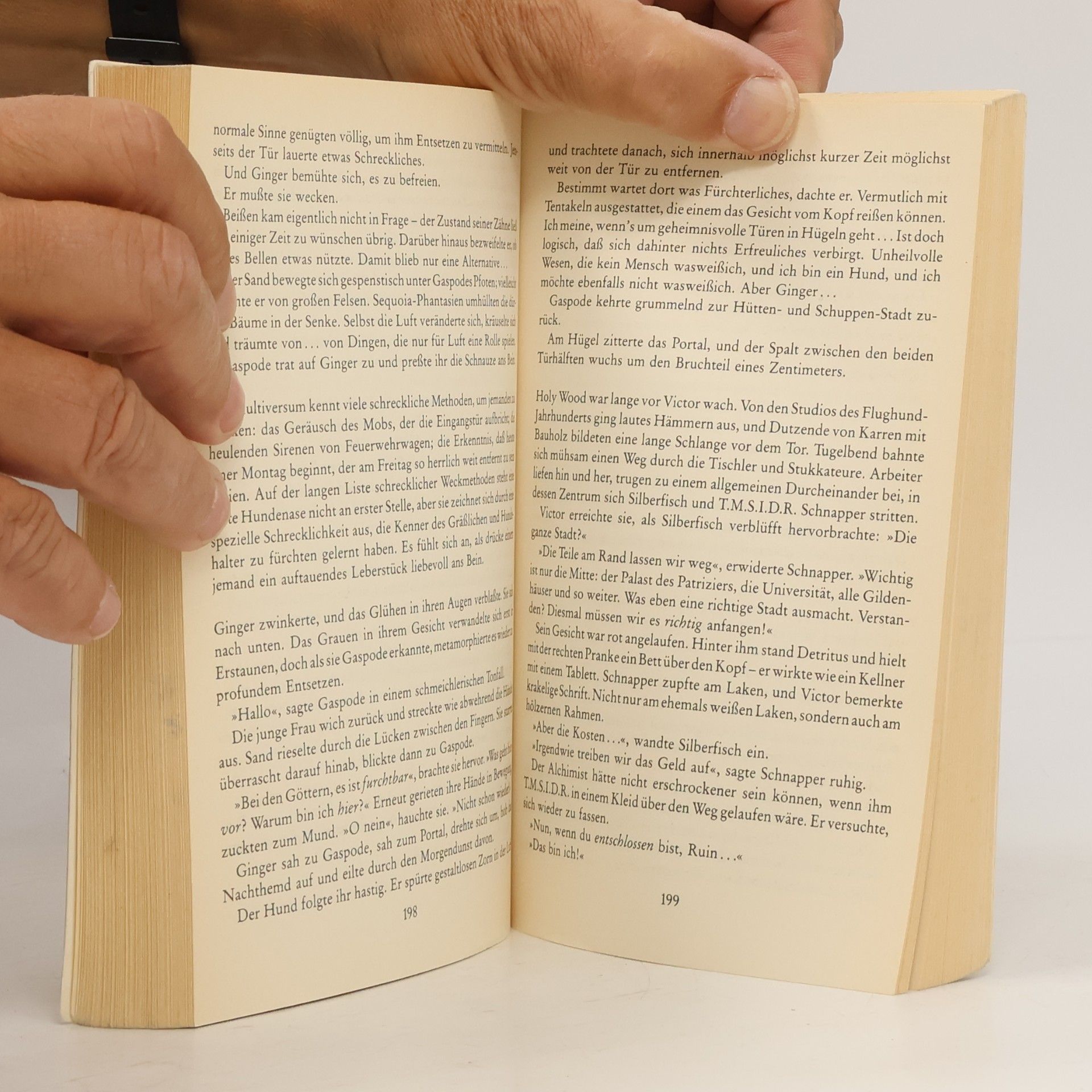 Terry Pratchett Voll im Bilde