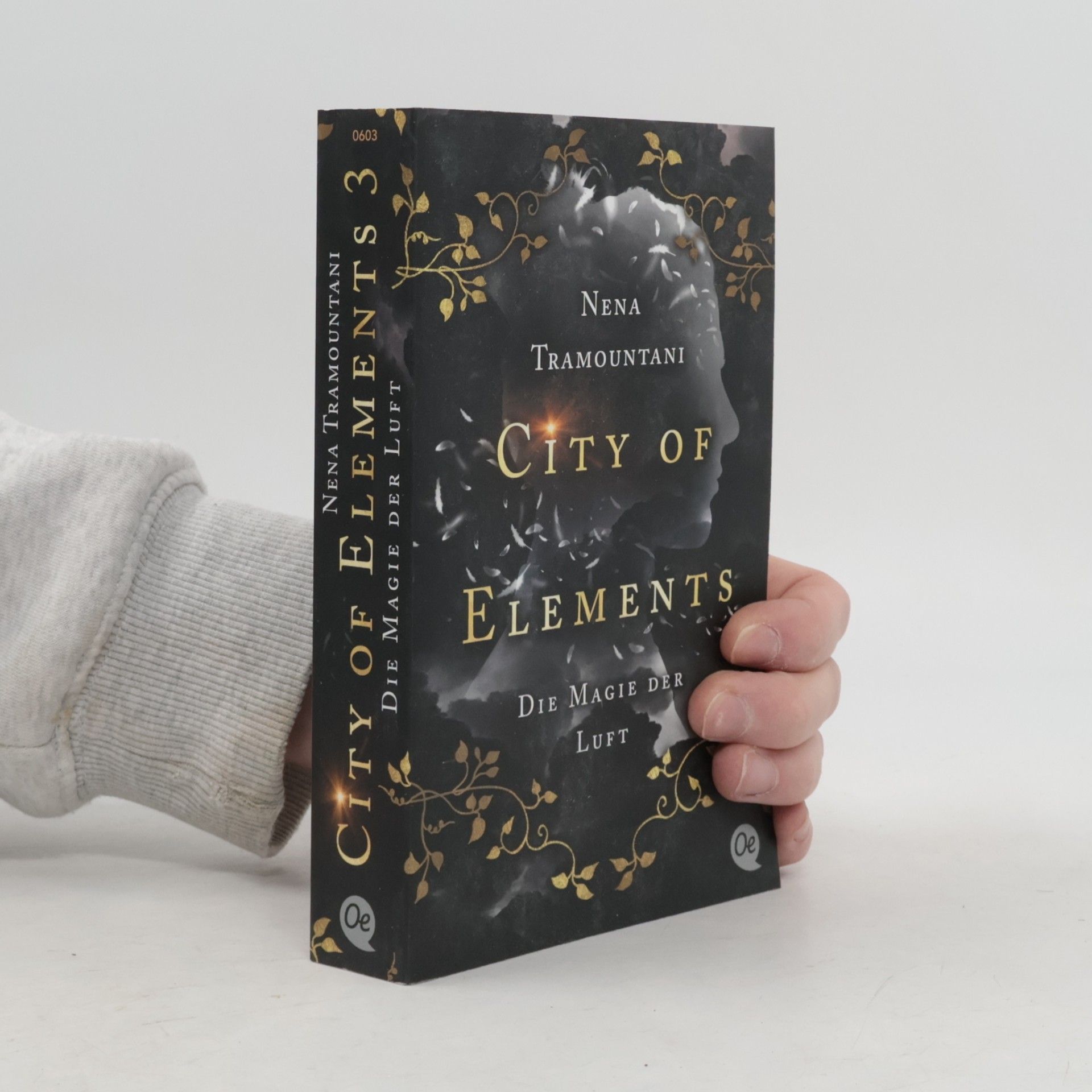 Die Magie der Luft / City of Elements Bd.3