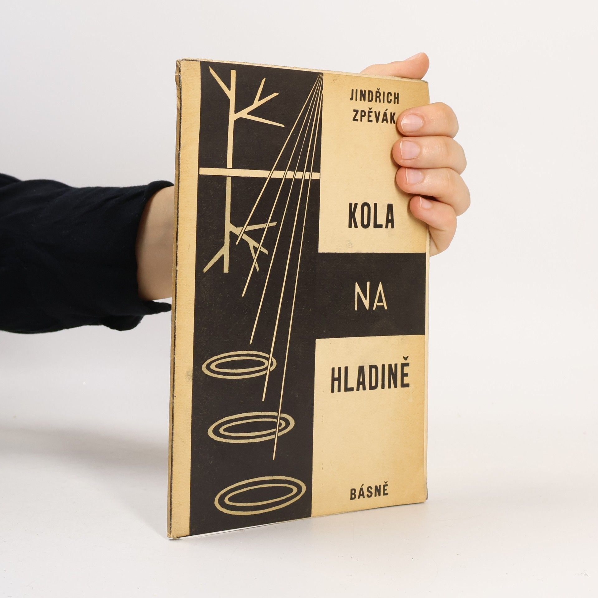 Jindřich Zpěvák Kola na hladině