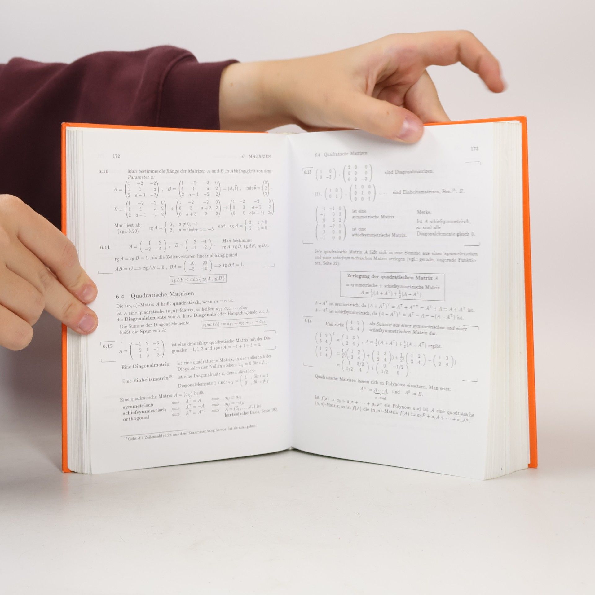 Gerhard Merziger Repetitorium der höheren Mathematik