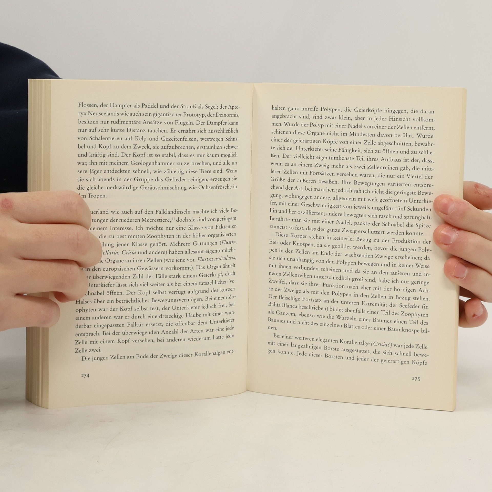 Charles Darwin Die Fahrt der Beagle
