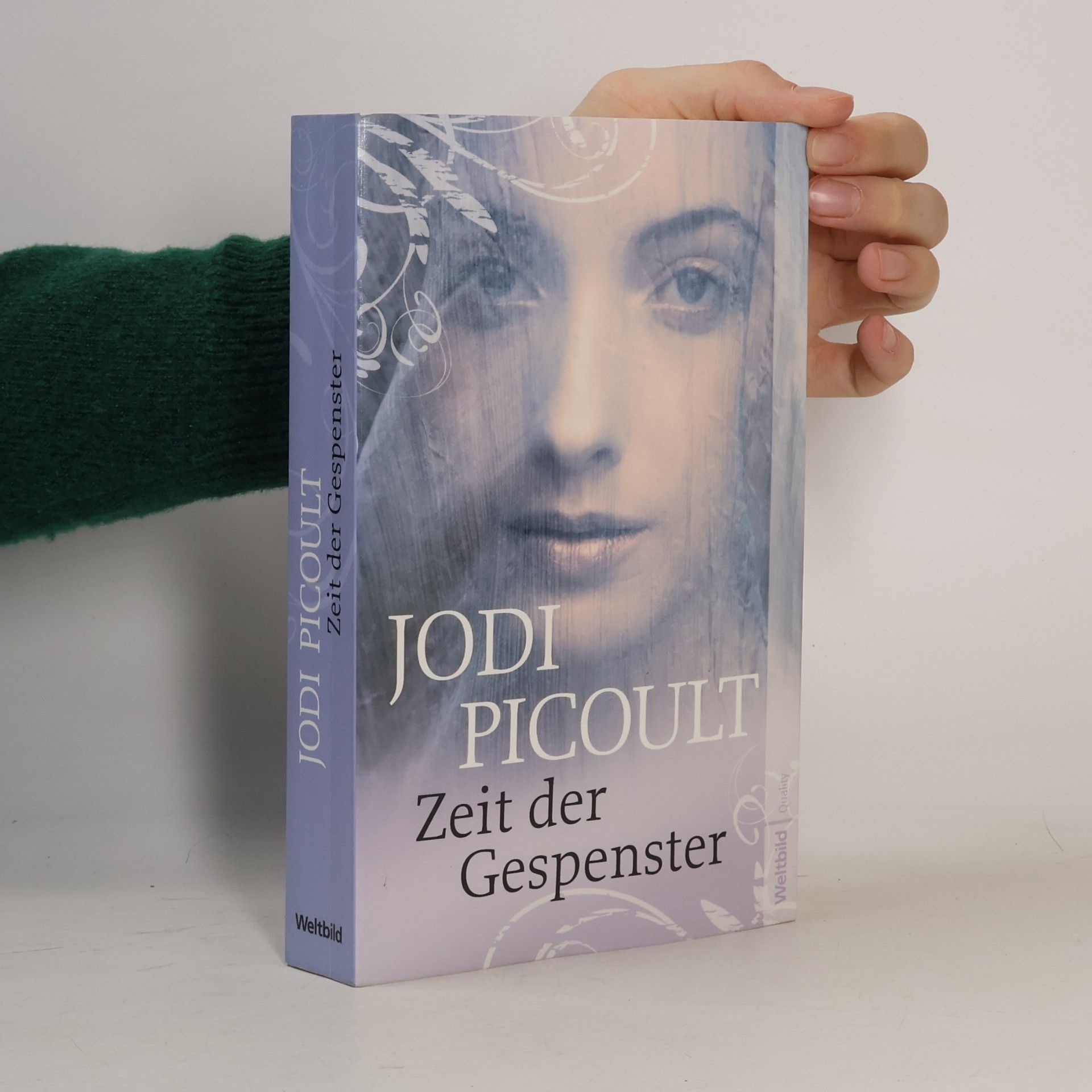 Jodi Picoult Zeit der Gespenster