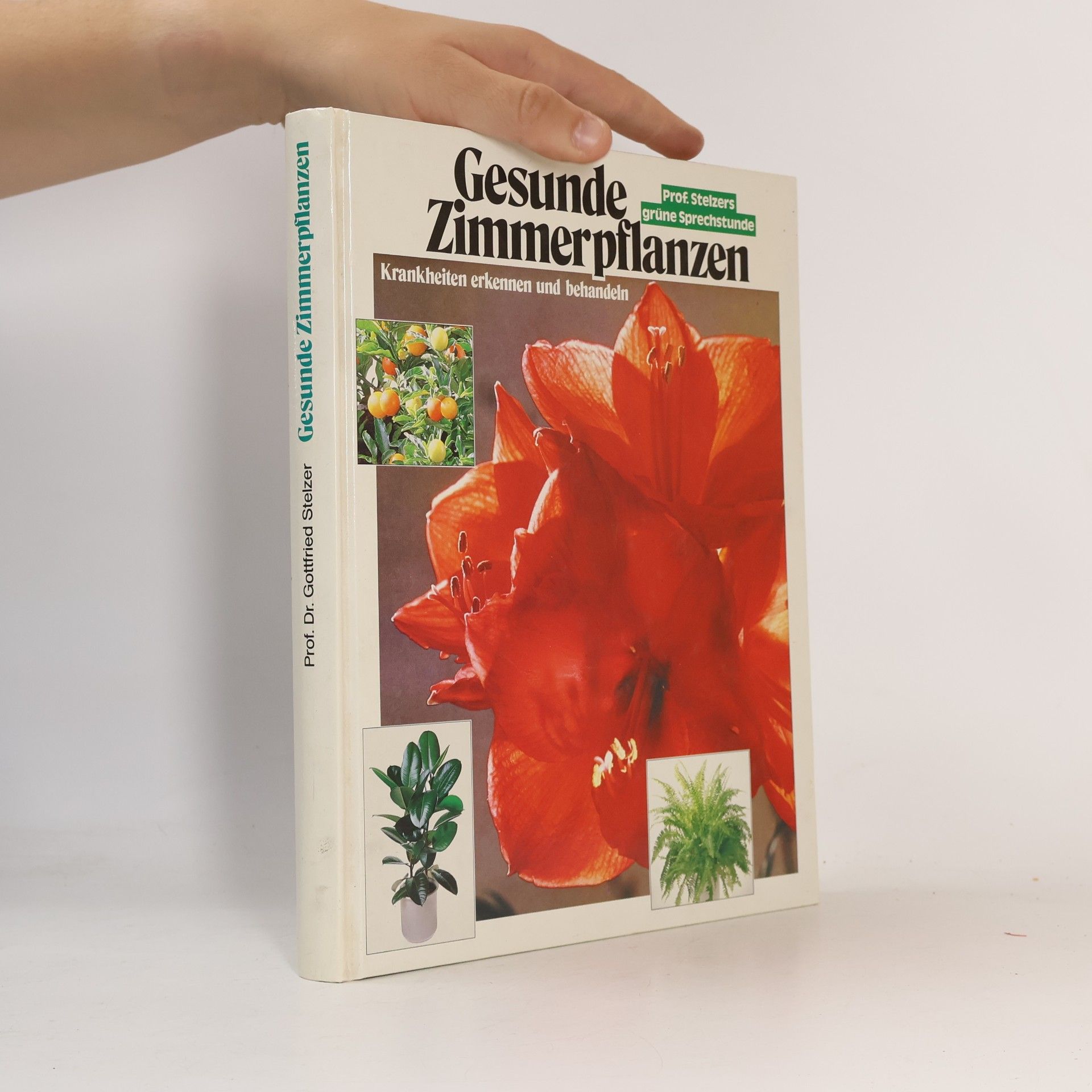 Kolektiv autorů Gesunde Zimmerpflanzen