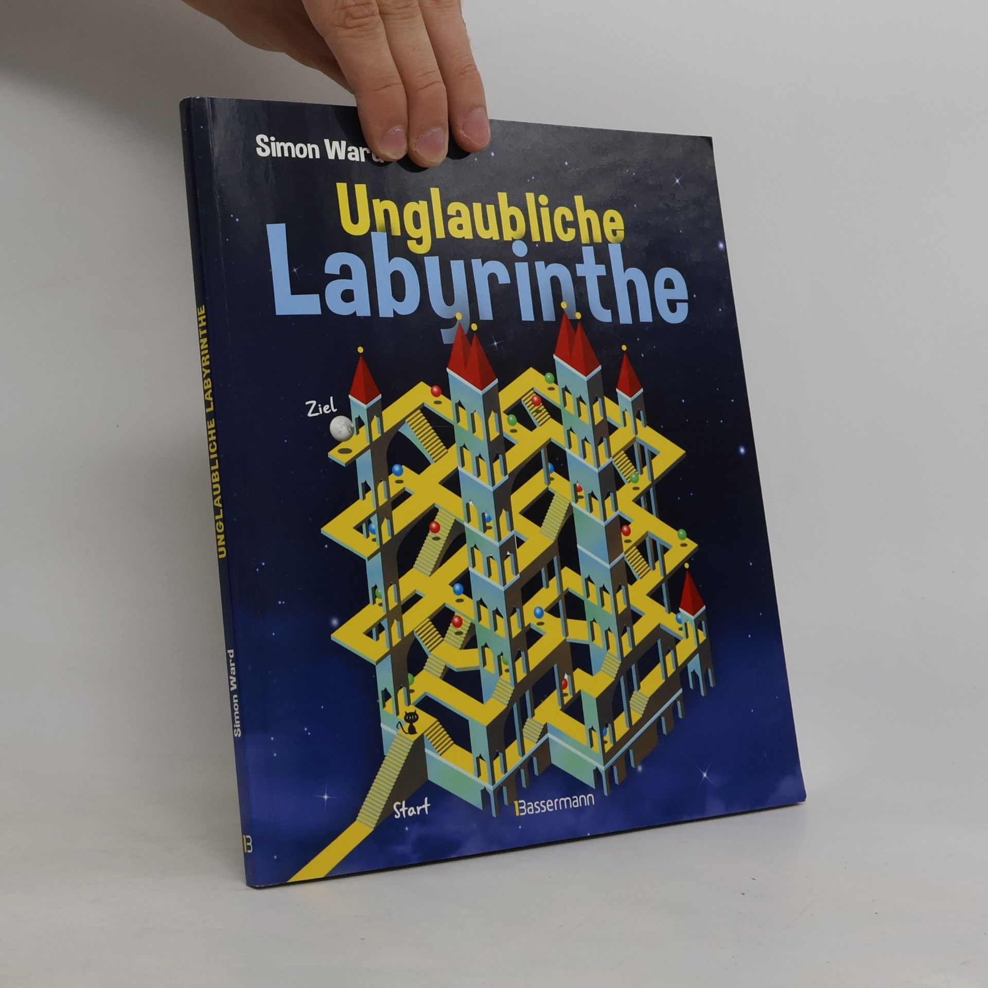 Simon Ward Unglaubliche Labyrinthe