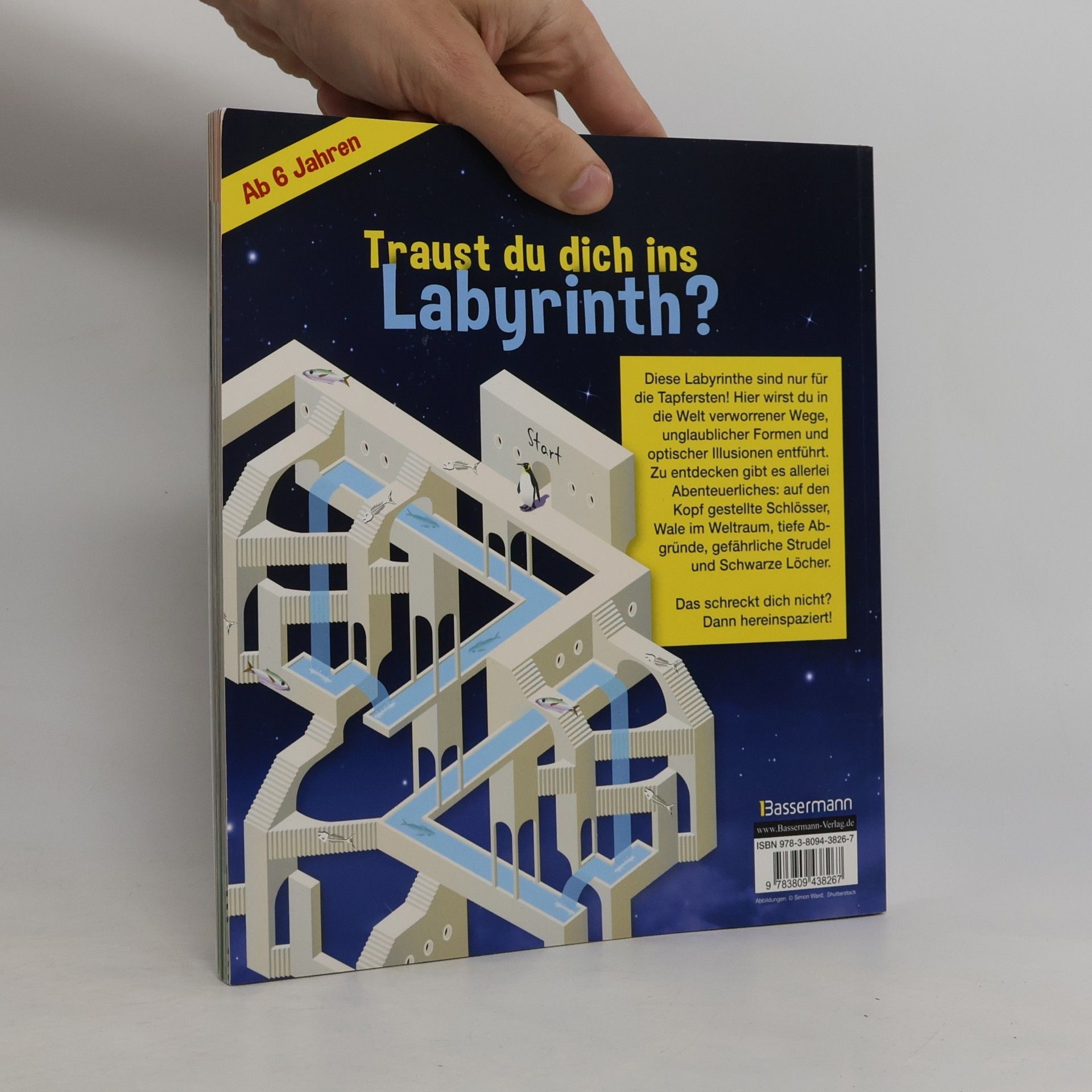 Simon Ward Unglaubliche Labyrinthe