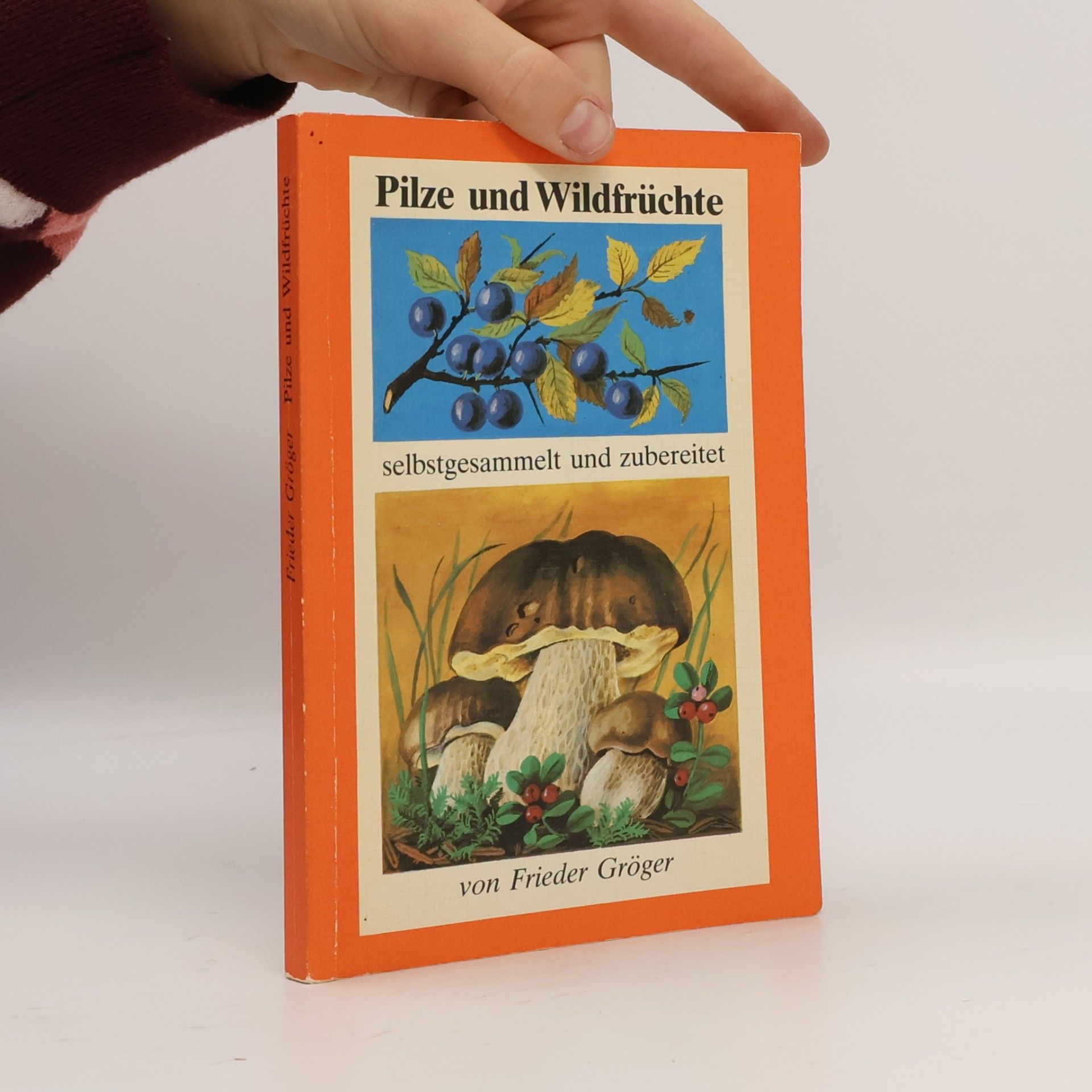 Pilze und Wildfrüchte