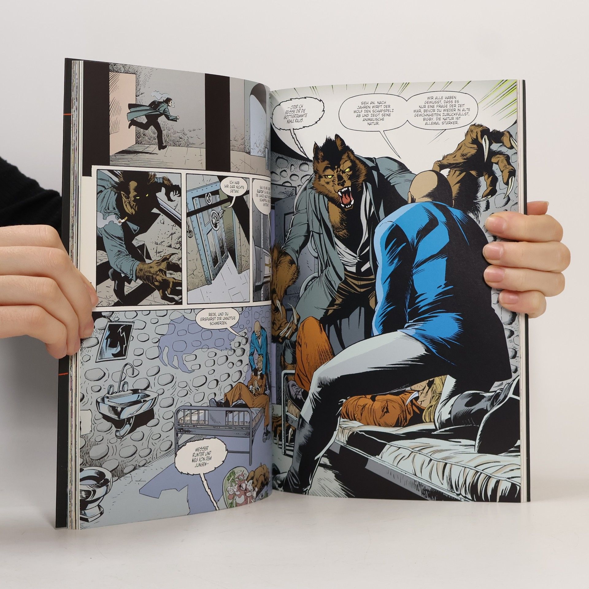 Bill Willingham Fables 1