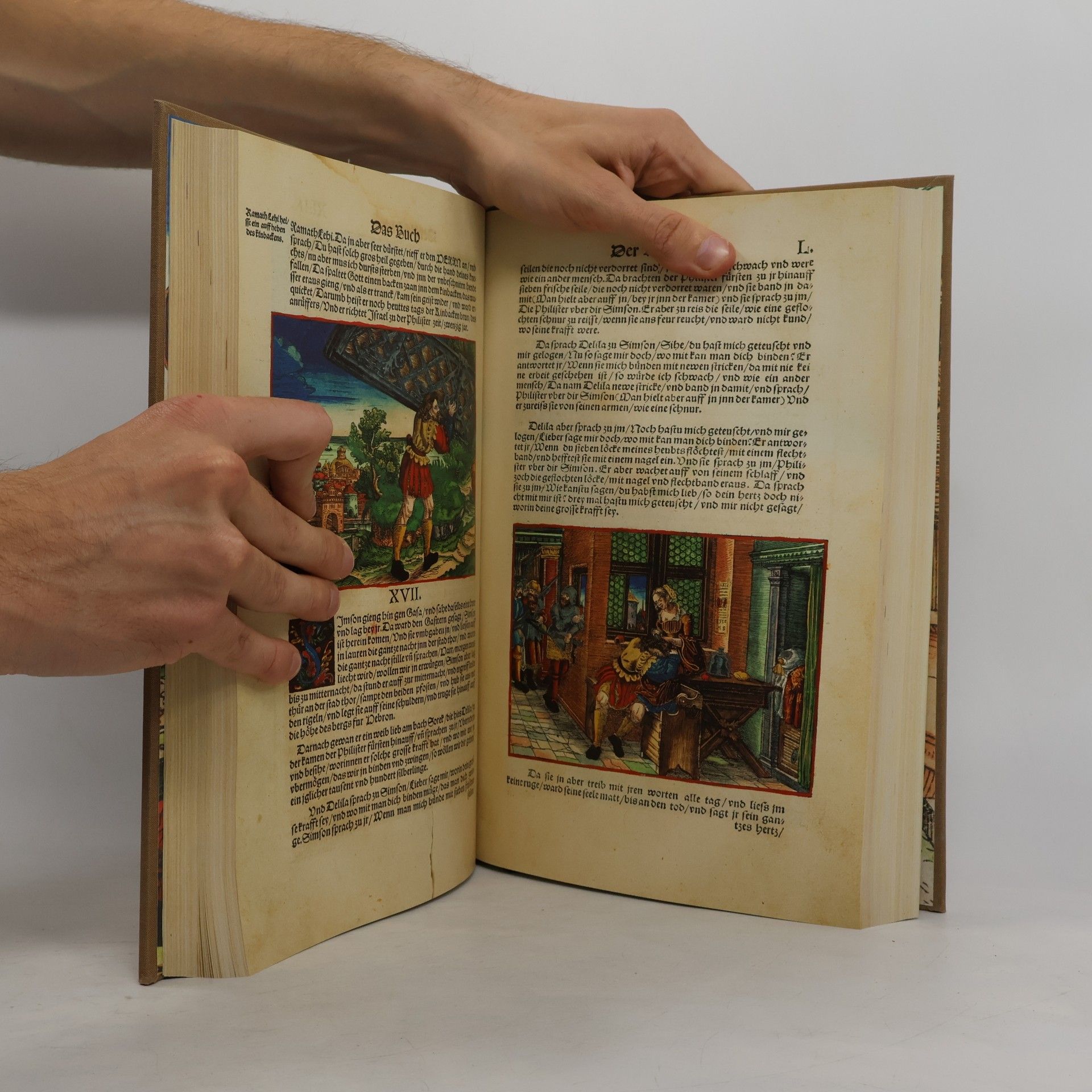 Martin Luther Biblia I.