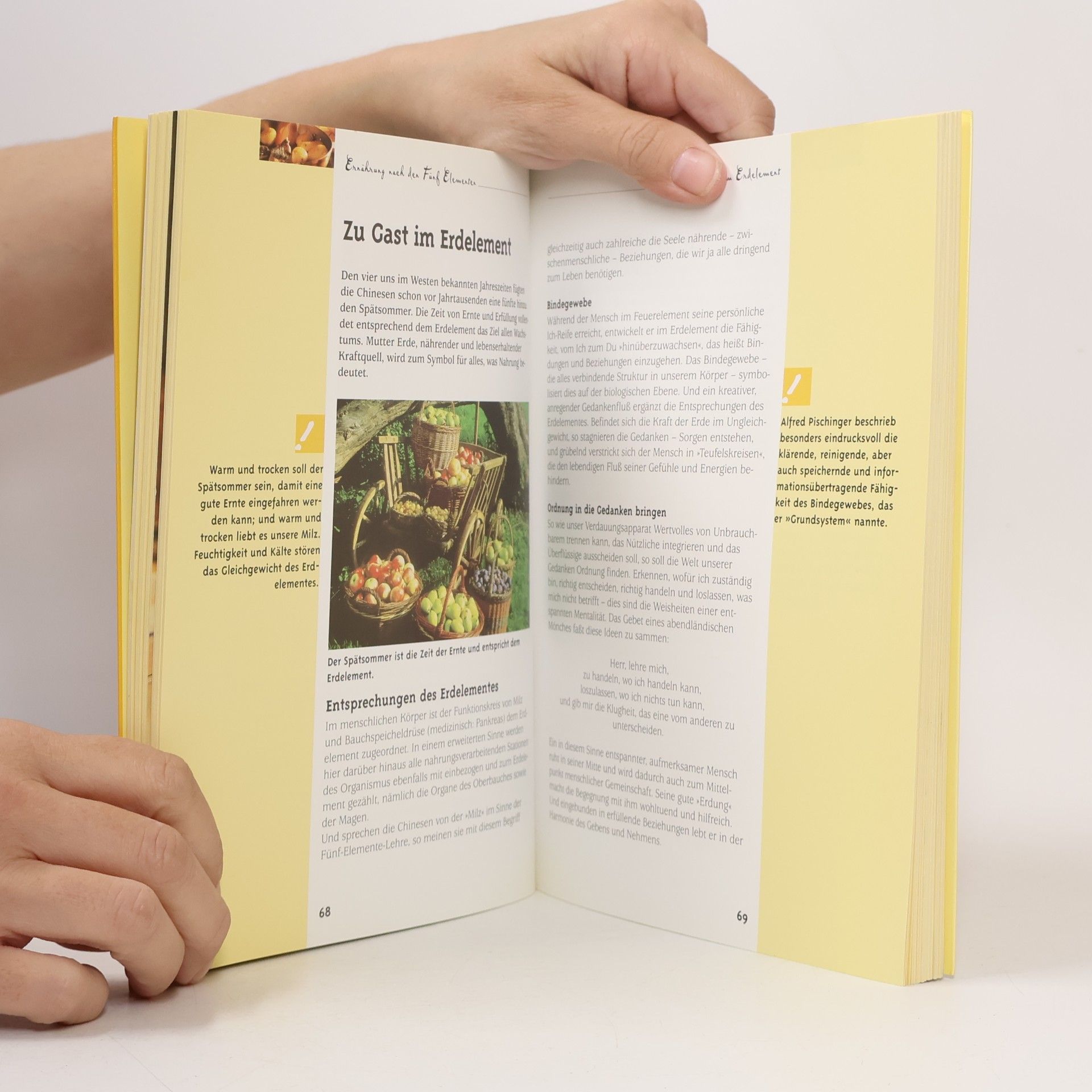 Ilse-Maria Fahrnow Fünf-Elemente-Ernährung