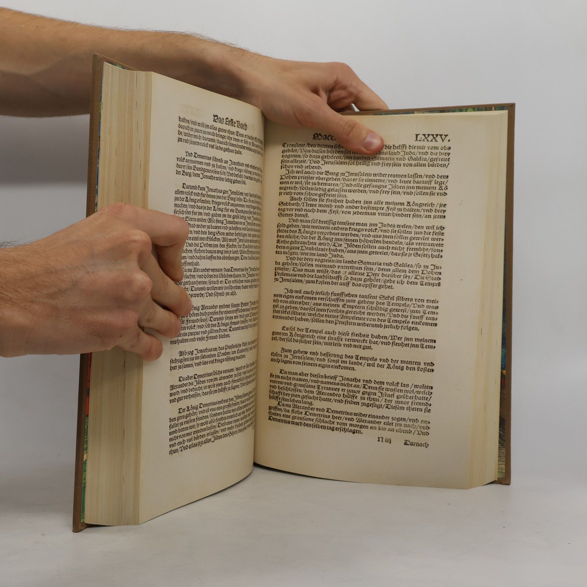 Martin Luther Biblia II.