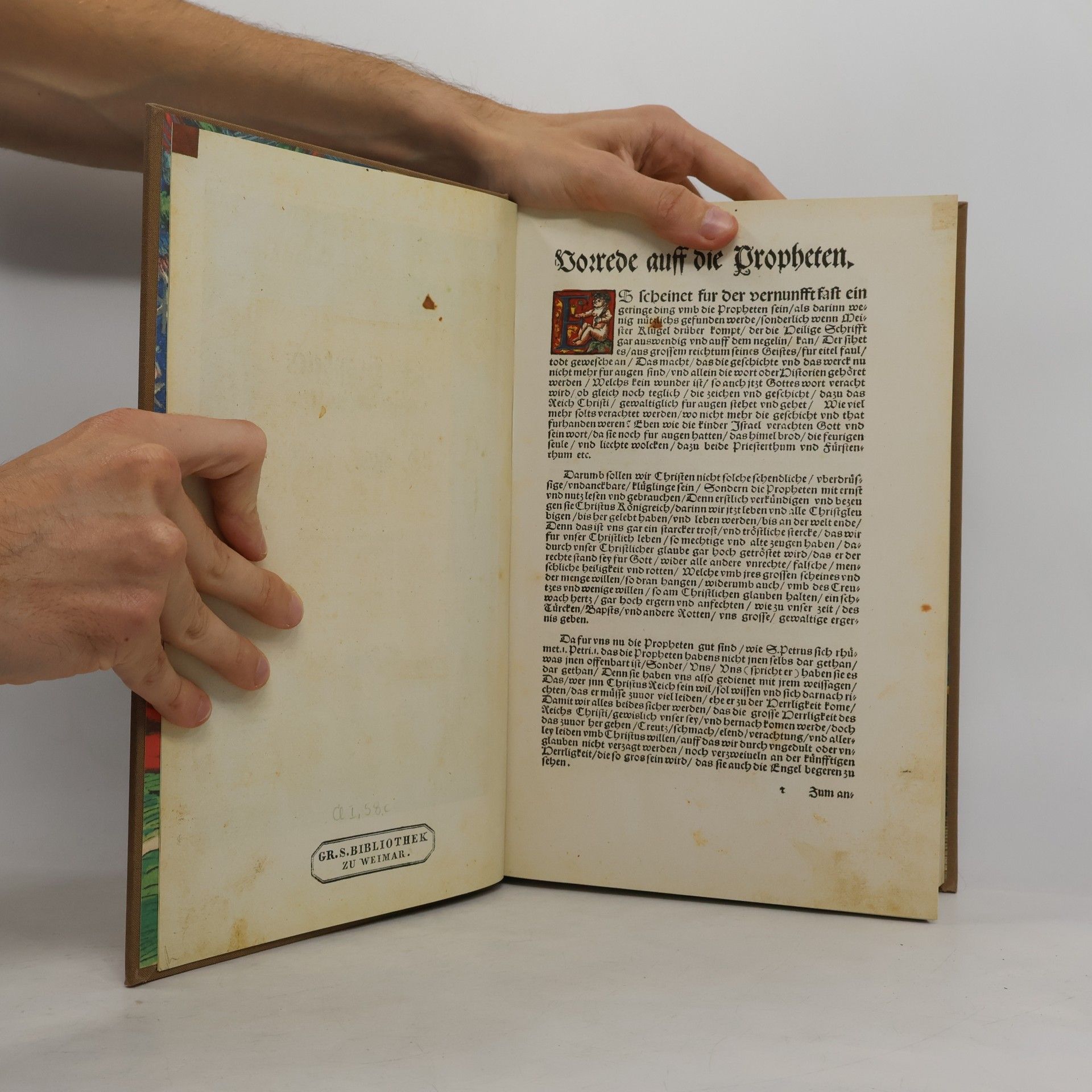 Martin Luther Biblia II.