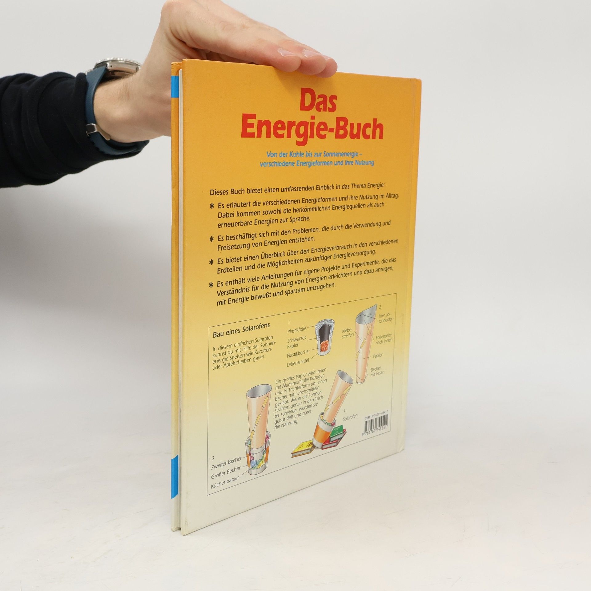 Richard Spurgeon Das Energie-Buch