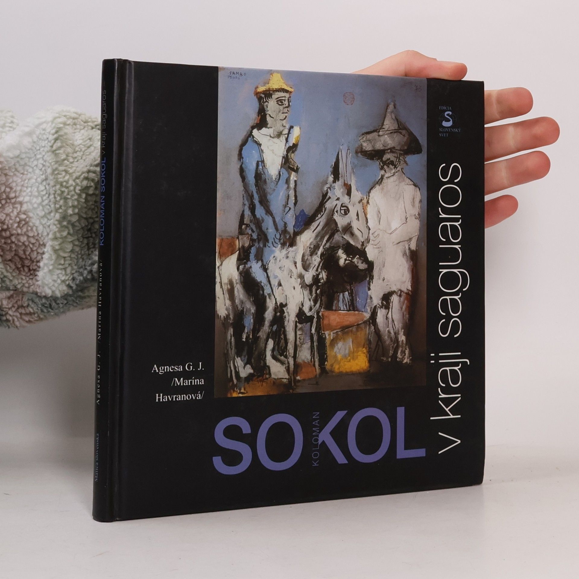 Agneša Gundová Jergová Koloman Sokol v kraji saguaros