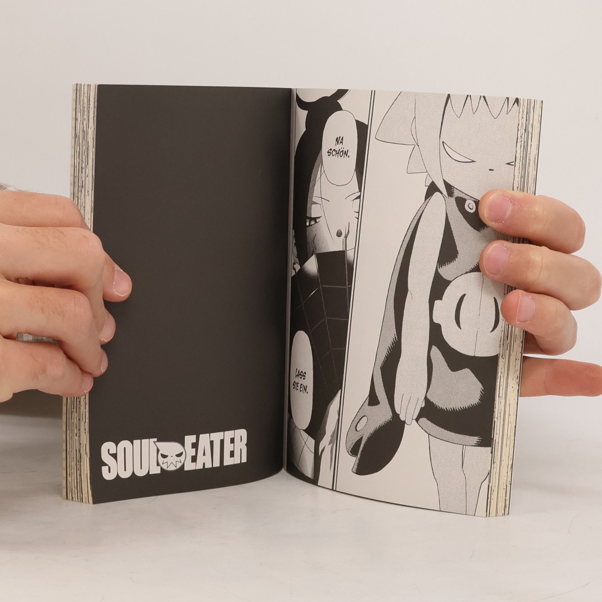 Atsushi Ōkubo Soul eater 8
