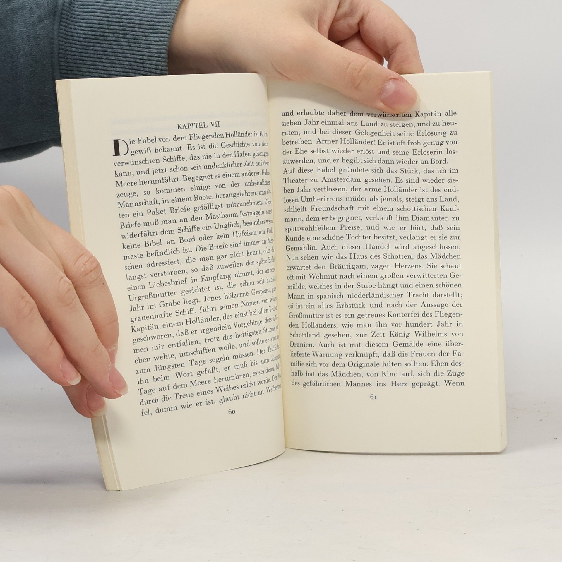 Heinrich Heine Insel Taschenbuch - 189: Aus den Memoiren des Herrn von Schnabelewopski