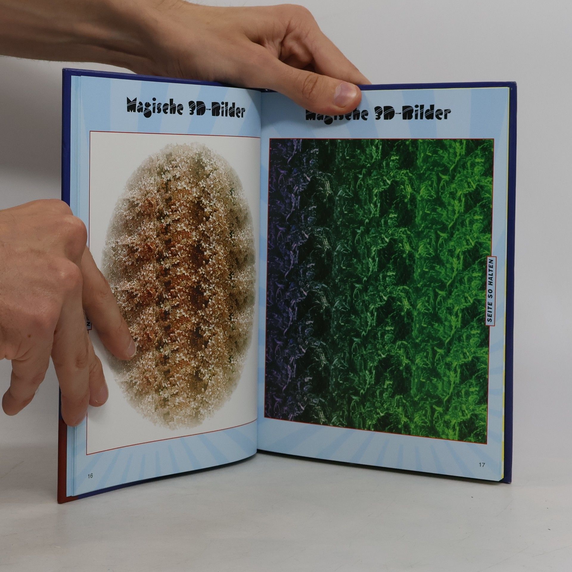 Gary W. Priester Unglaubliche magische 3D-Bilder