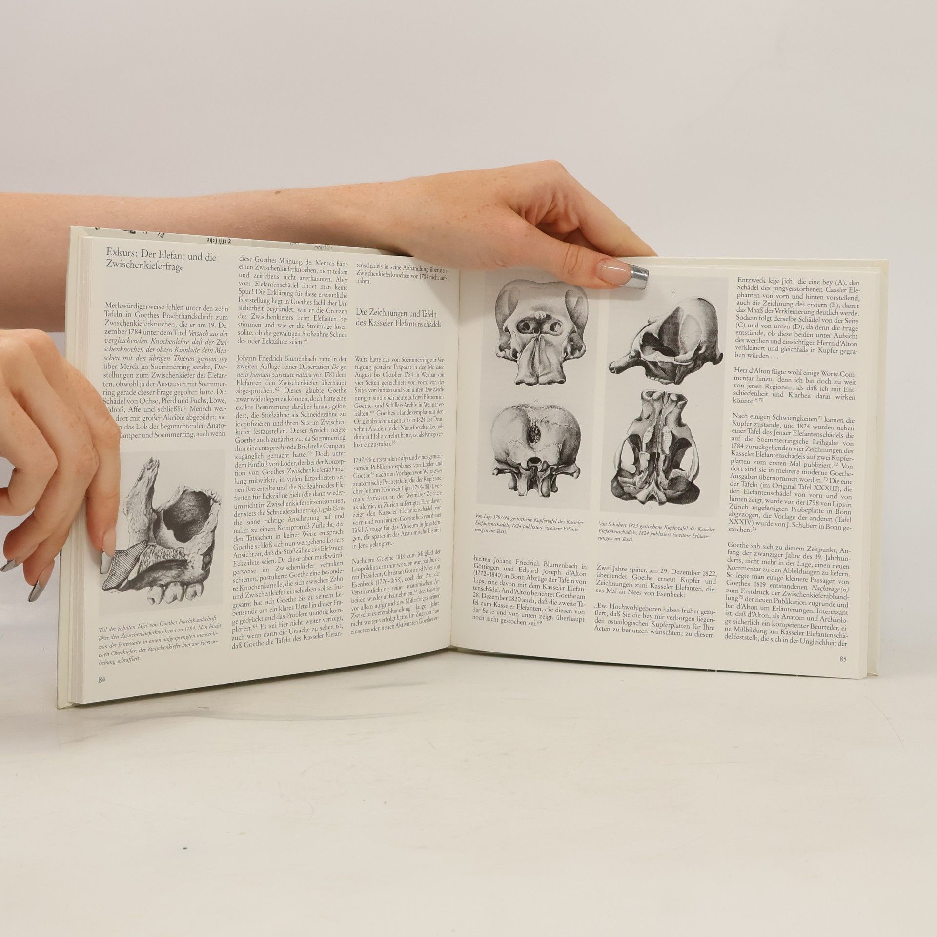 Autorenkollektiv Samuel Thomas Soemmerring