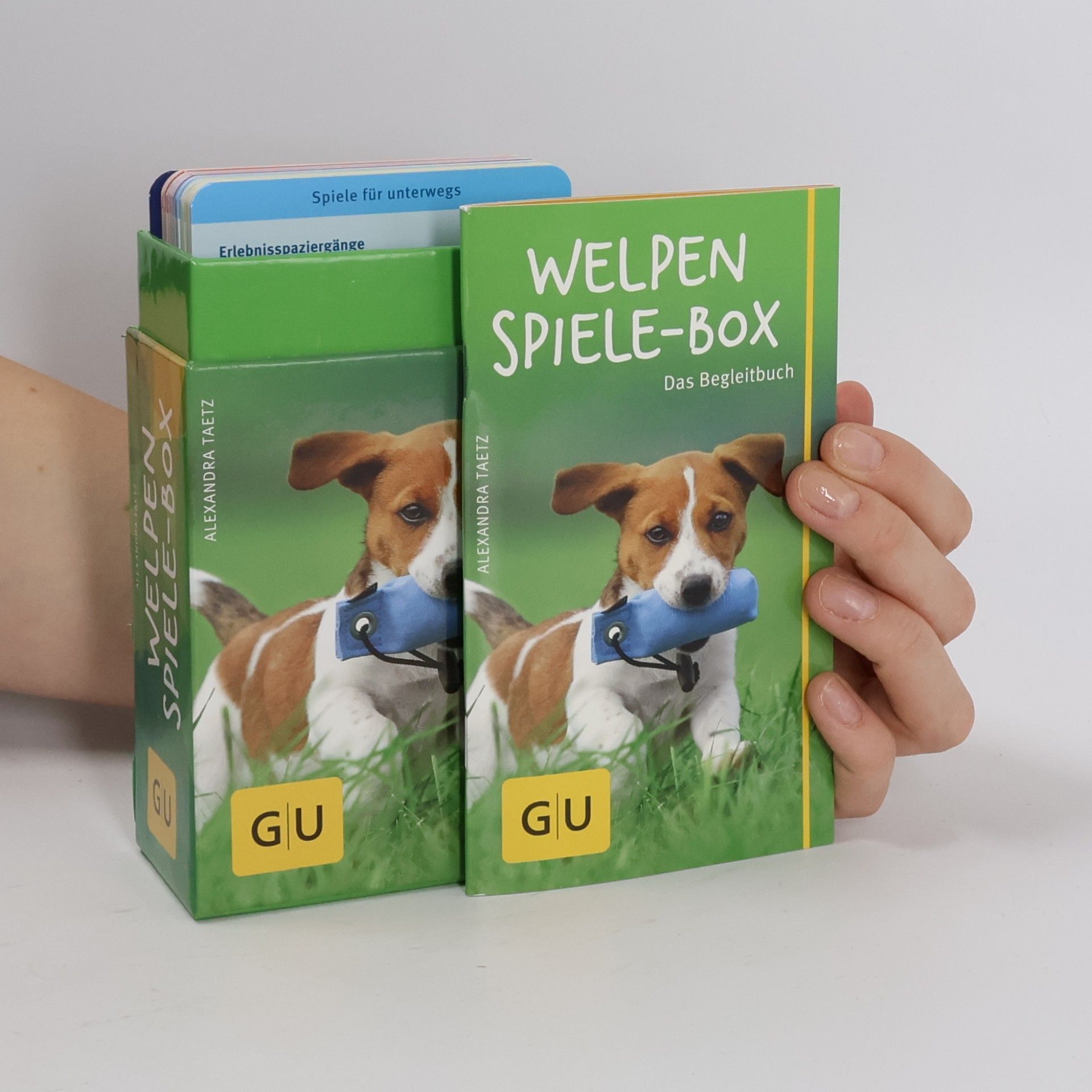 Alexandra Taetz Welpen-Spiele-Box