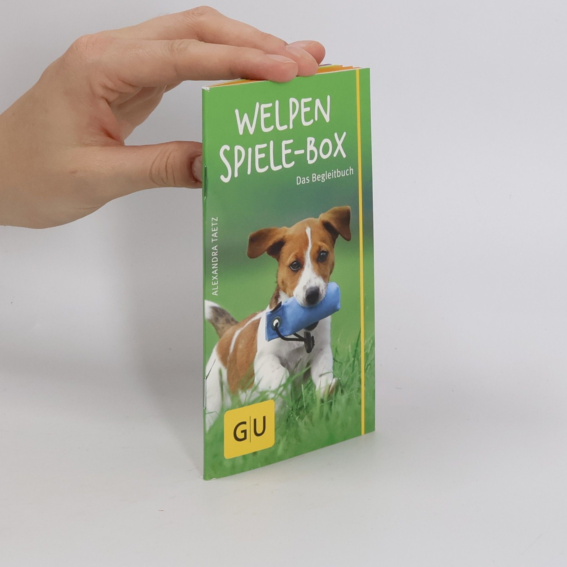 Alexandra Taetz Welpen-Spiele-Box