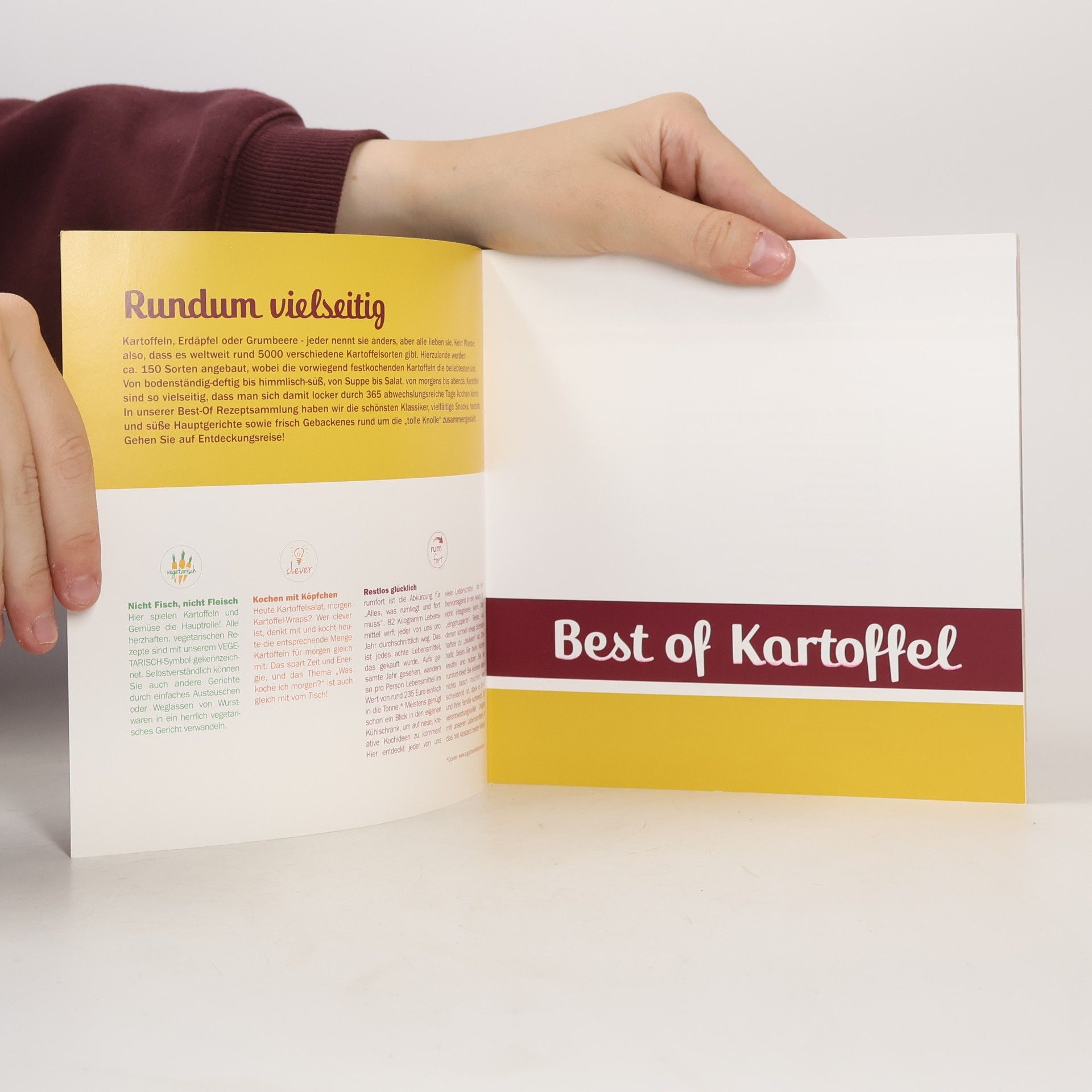 Kolektív autorov Best of Kartoffel