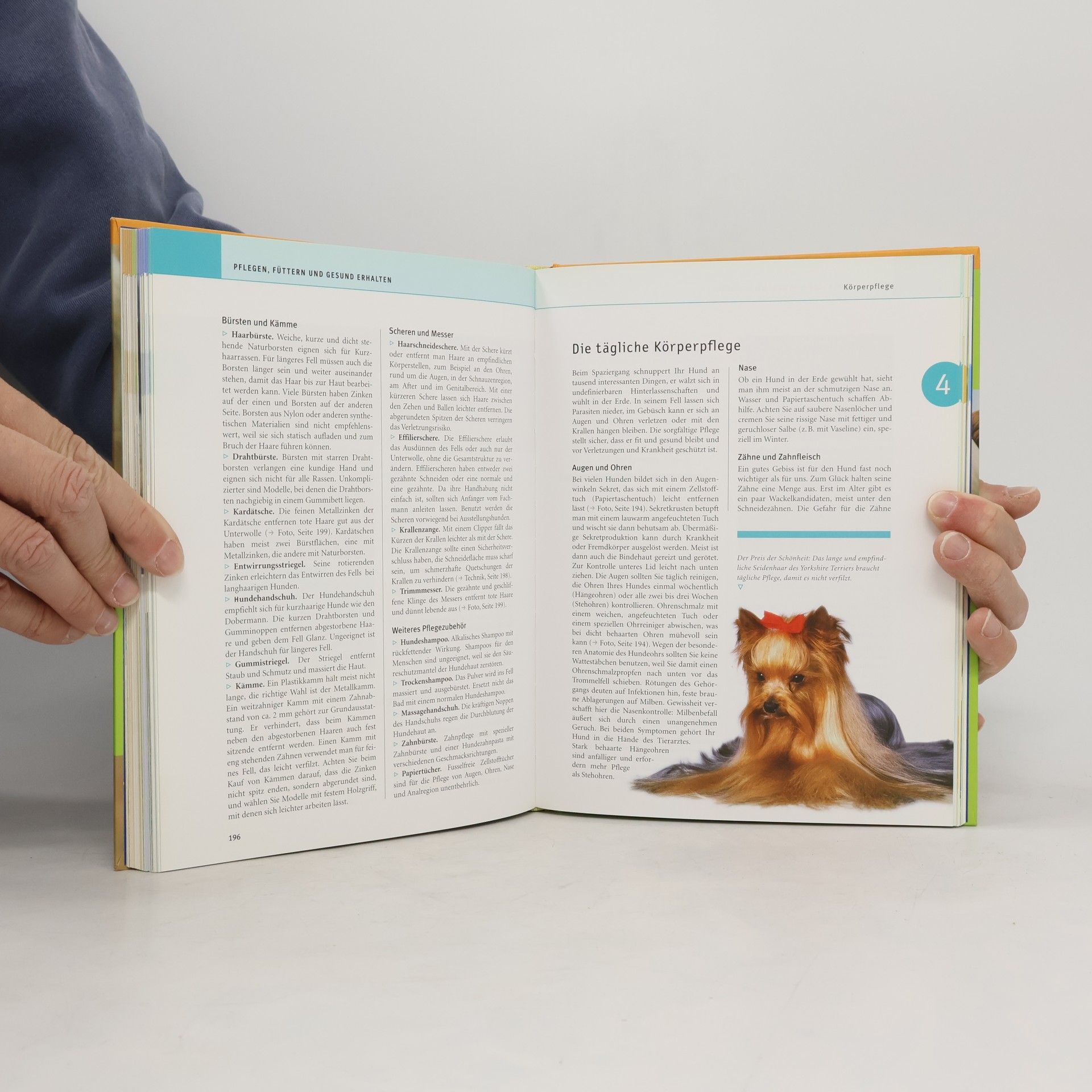 Gerd Ludwig Das große GU-Praxishandbuch Hunde